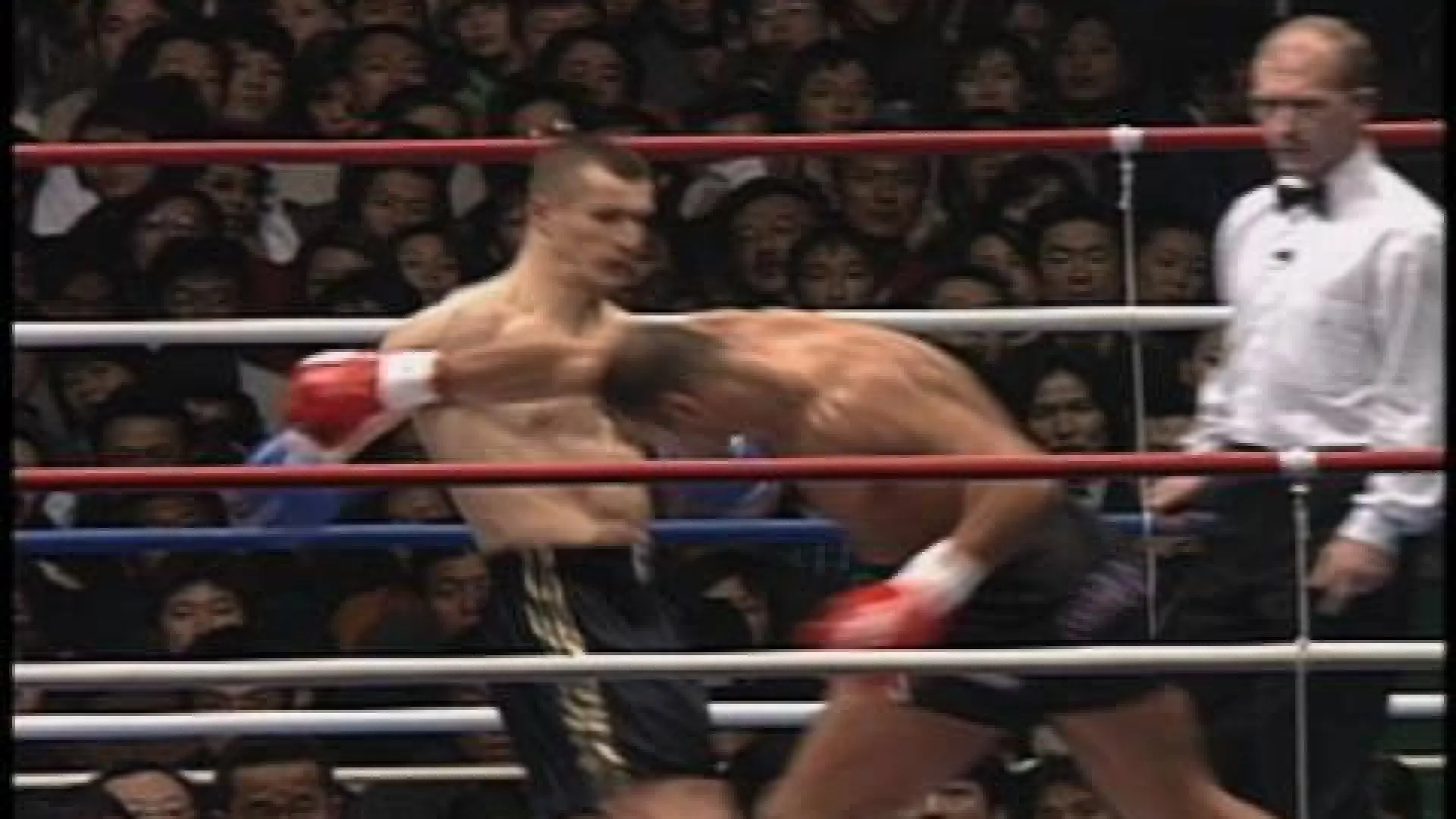 Mirko Cro Cop vs Sam Greco (Fight Video)