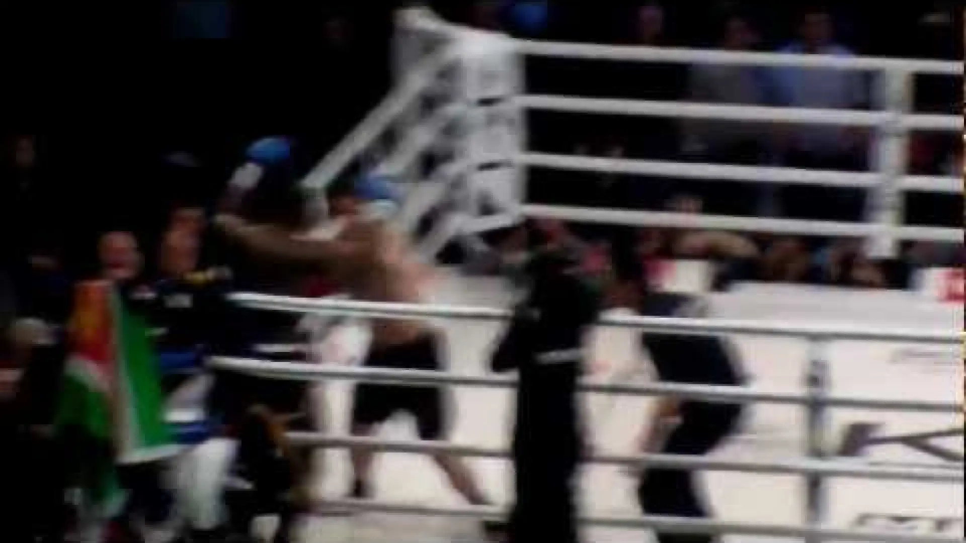 Mirko Cro Cop vs Ismael Londt (Fight Video)