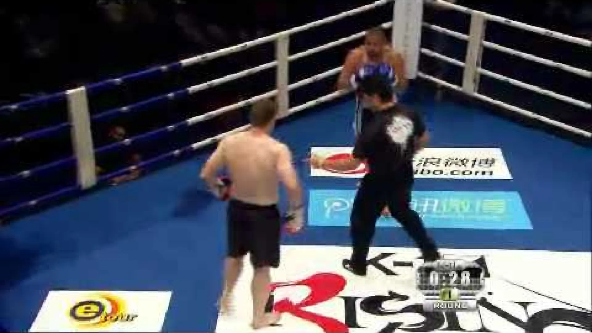 Mirko Cro Cop vs Lorenzo Javier Jorge (Fight Video)