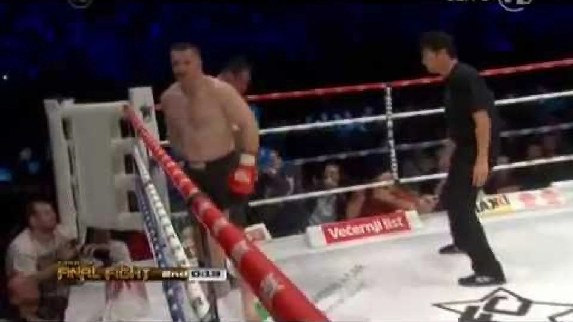 Mirko Cro Cop vs Ray Sefo (Fight Video)