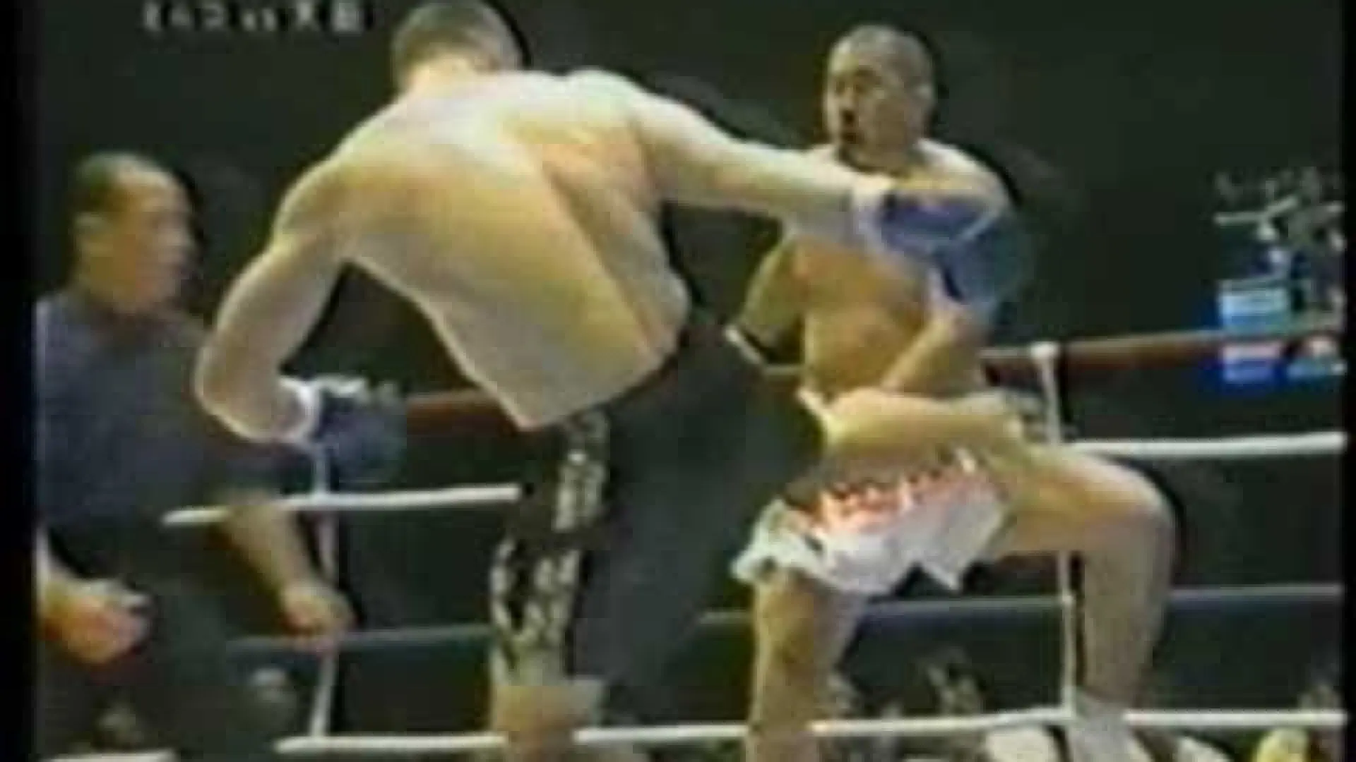 Mirko Cro Cop vs Hiromi Amada (Fight Video)