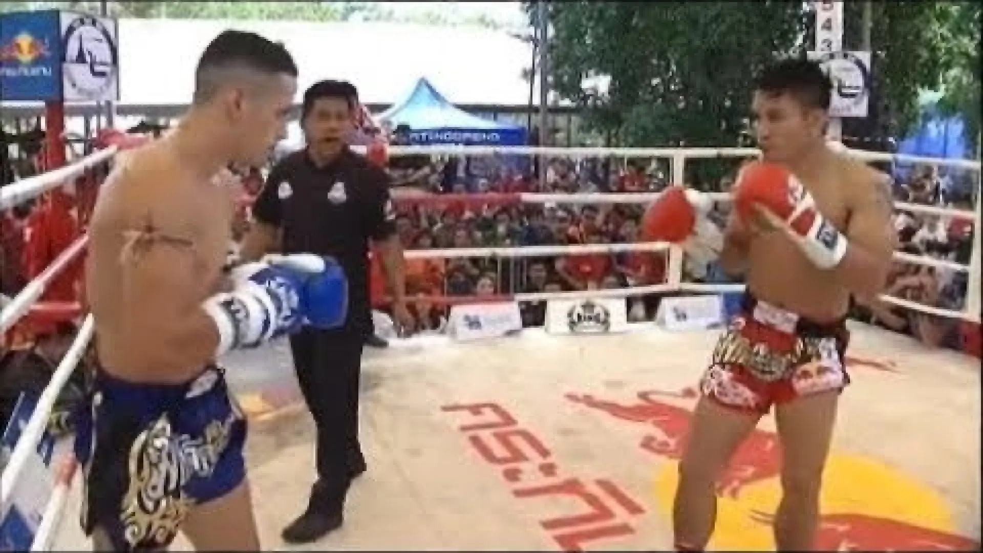 Singmanee Kaewsamrit vs Luis Cajaiba (Fight Video)