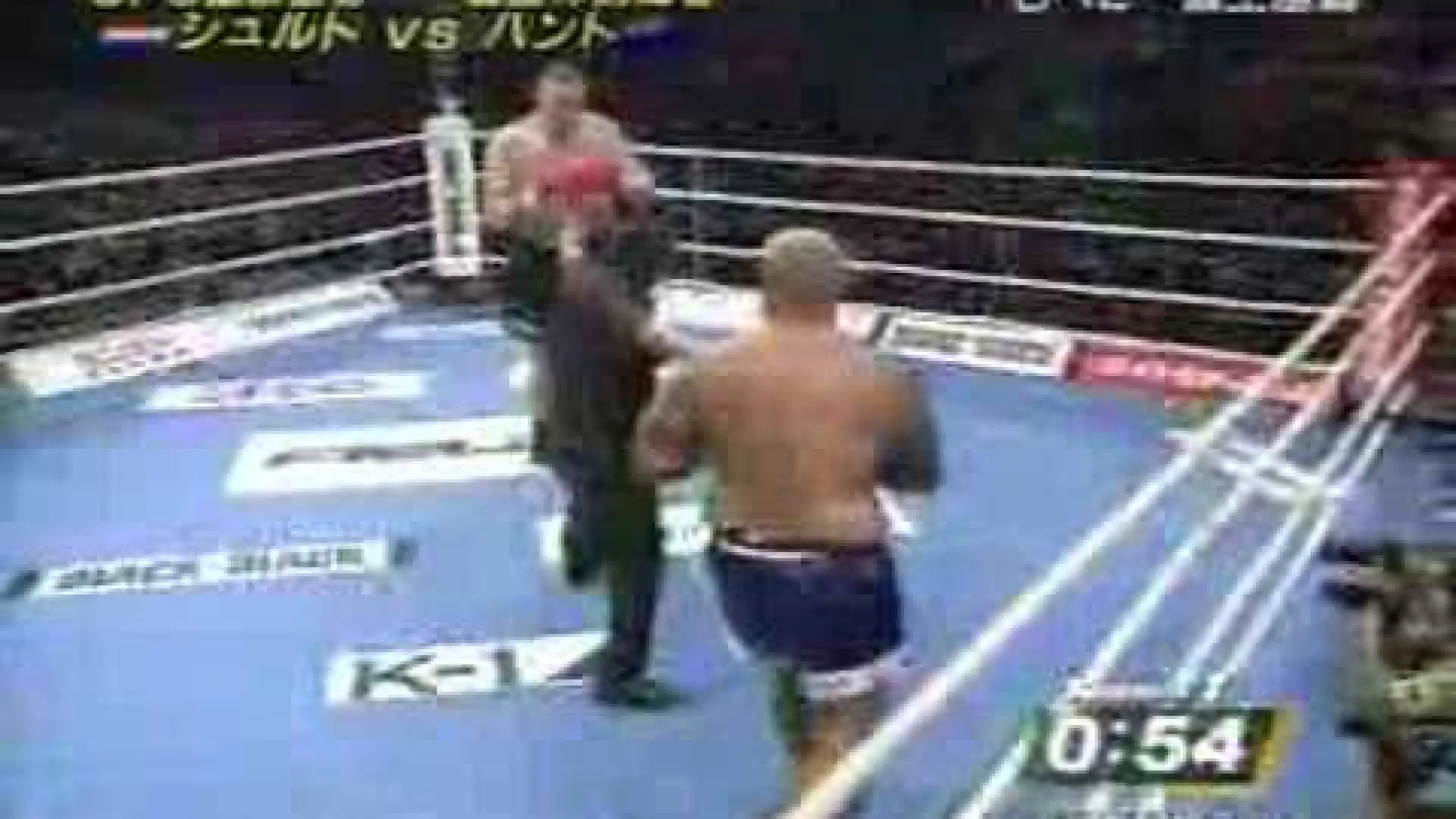 Semmy Schilt vs Mark Hunt (Fight Video)