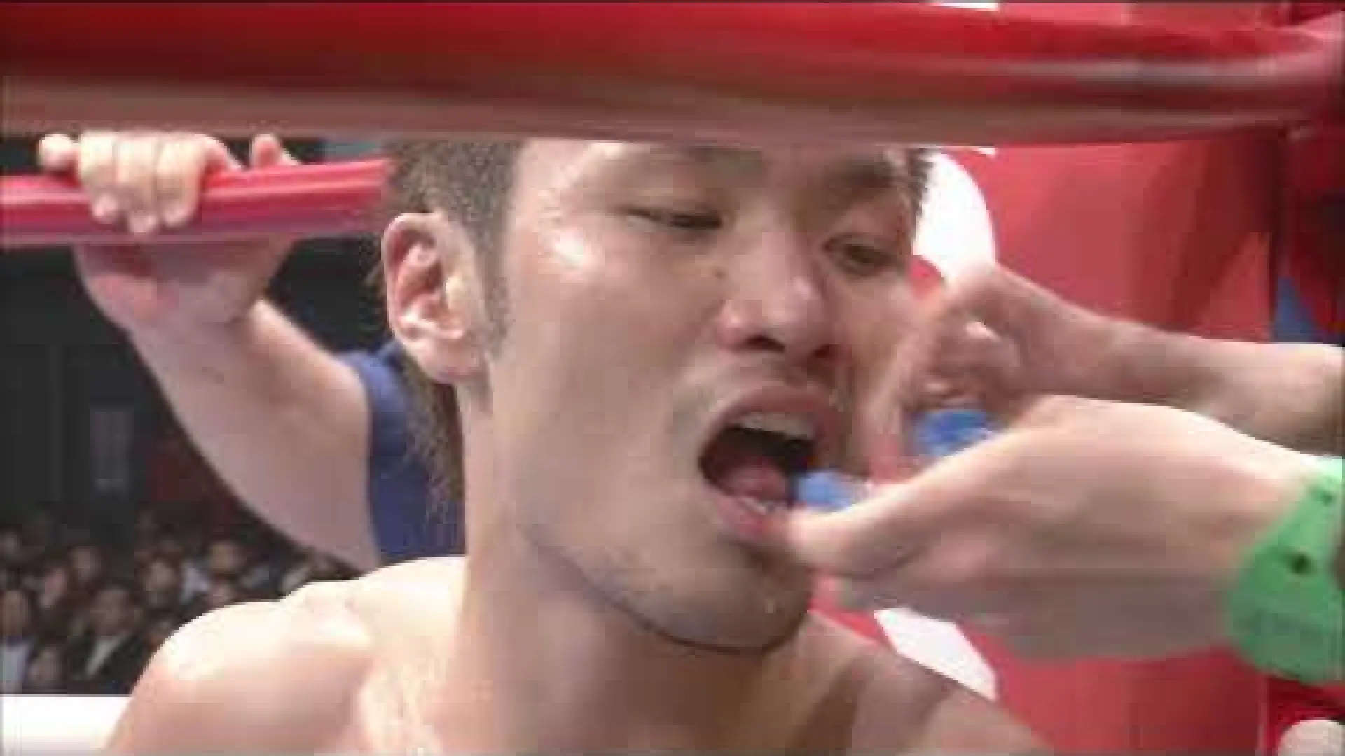 Yoshihiro Sato vs Murat Direkçi (Fight Video)