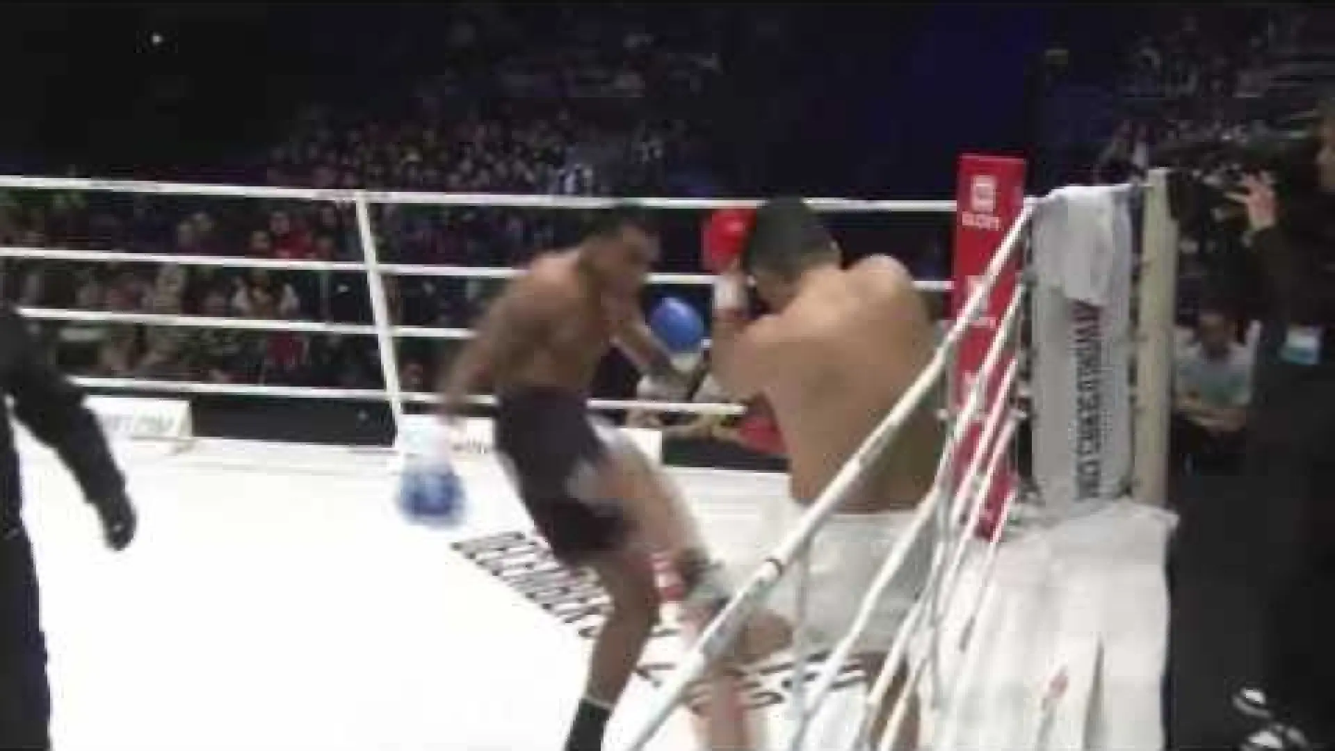 Jason Wilnis vs Toshio Matsumoto (Fight Video)