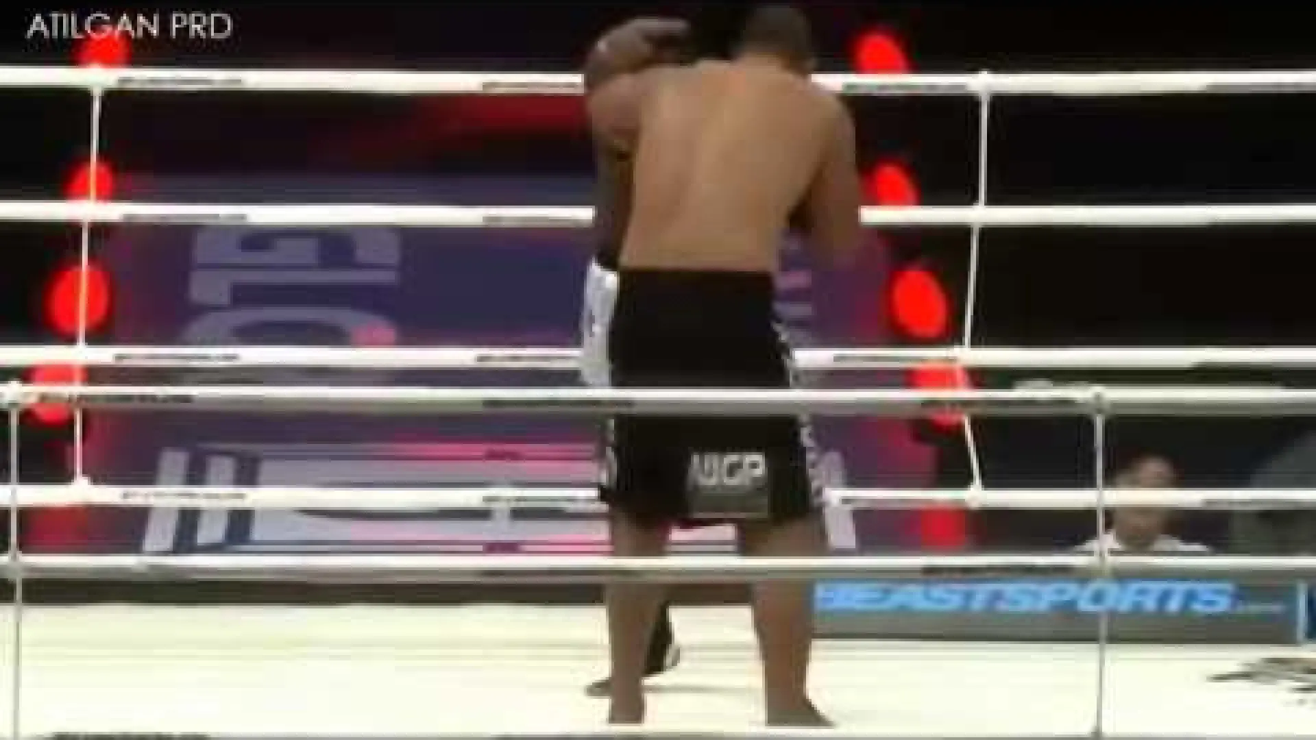 Anderson Silva vs Remy Bonjasky (Fight Video)