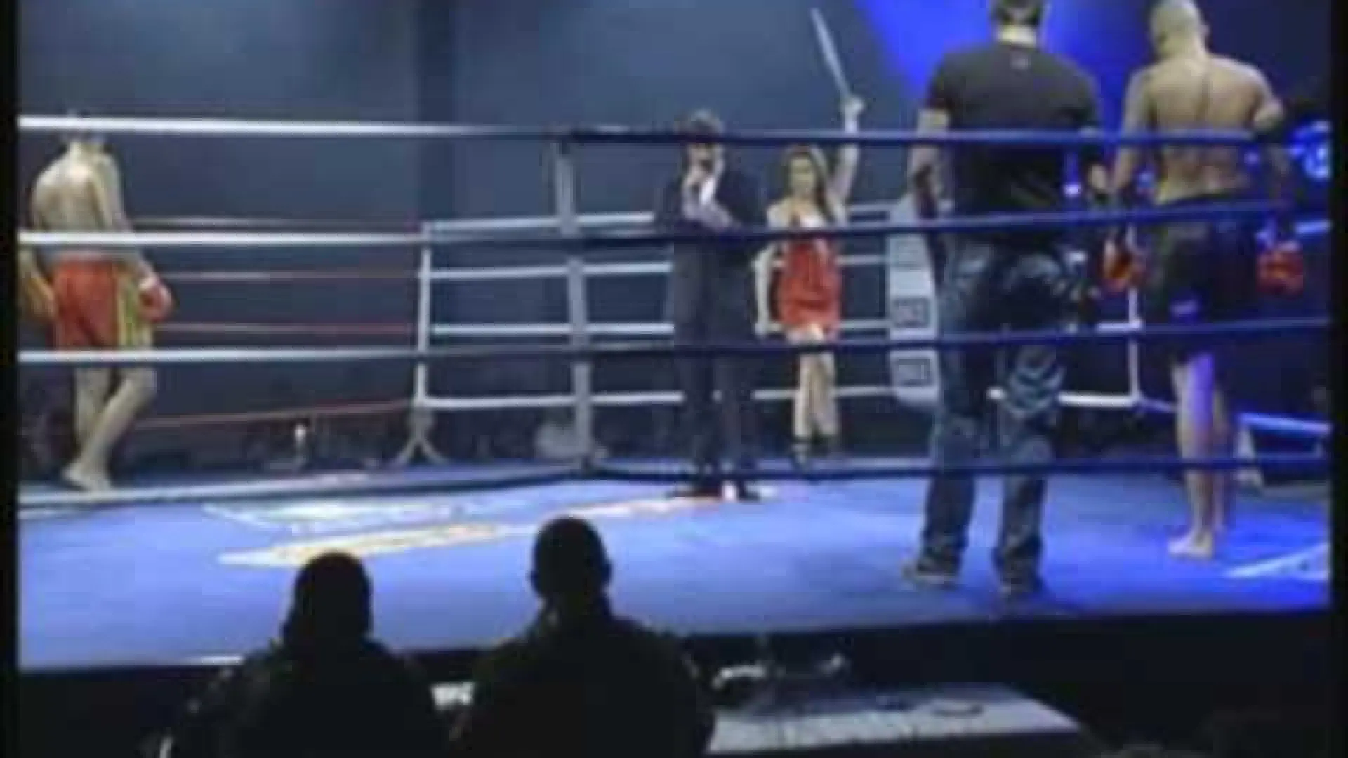 Anderson Silva vs Hesdy Gerges (Fight Video)