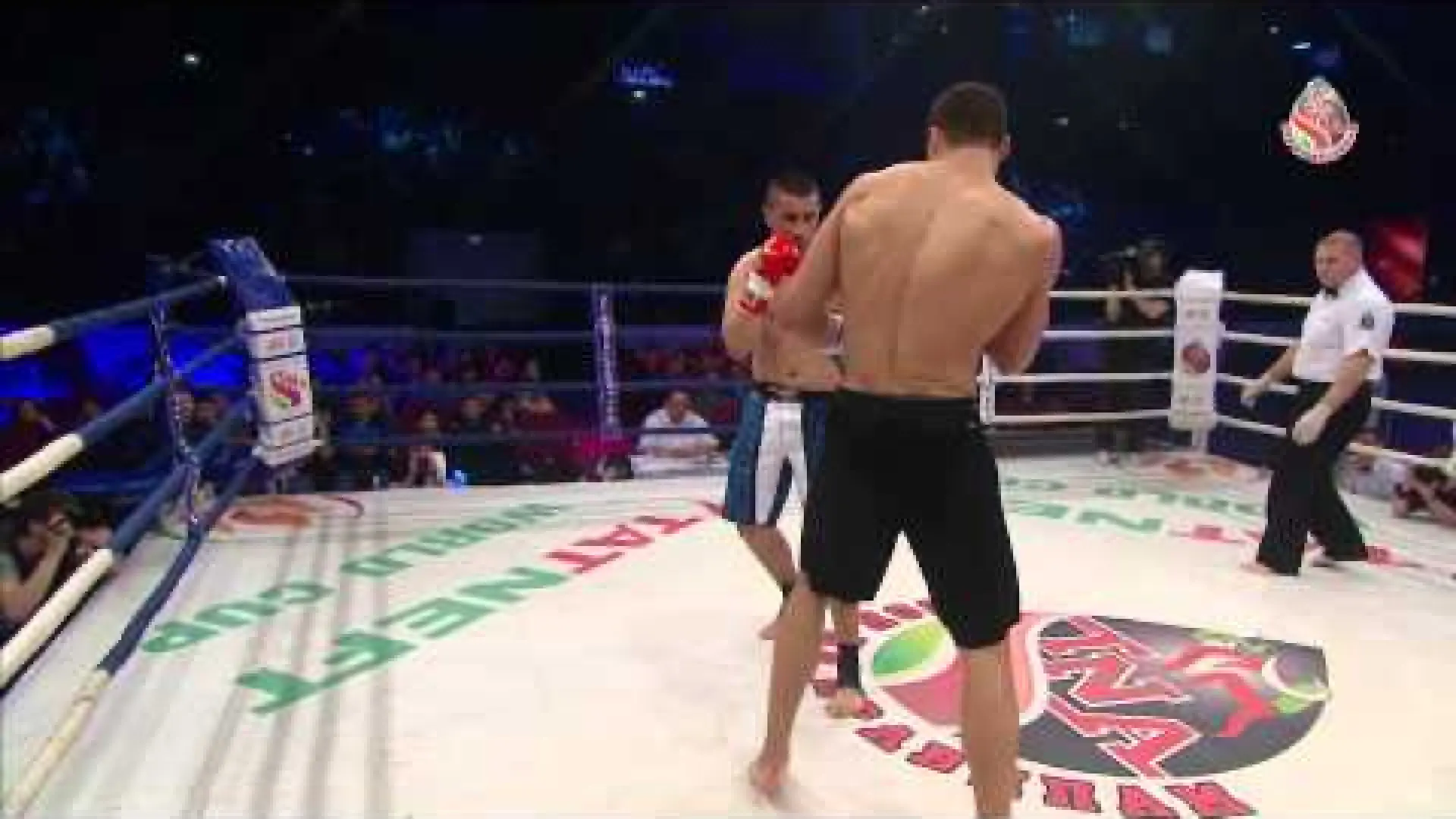 Roman Kryklia vs Igor Mihaljevic (Fight Video)