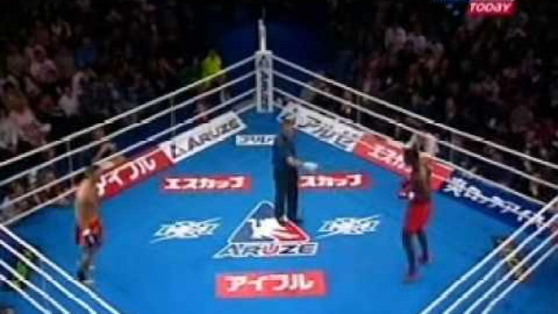 Remy Bonjasky vs Petar Majstorović (Fight Video)