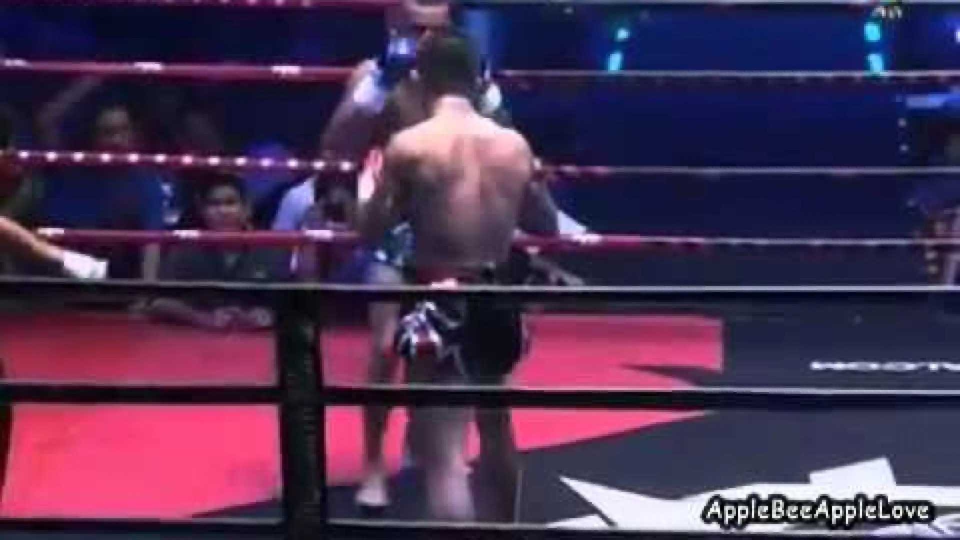 Aikpracha Meenayothin vs Warren Stevelmans (Fight Video)