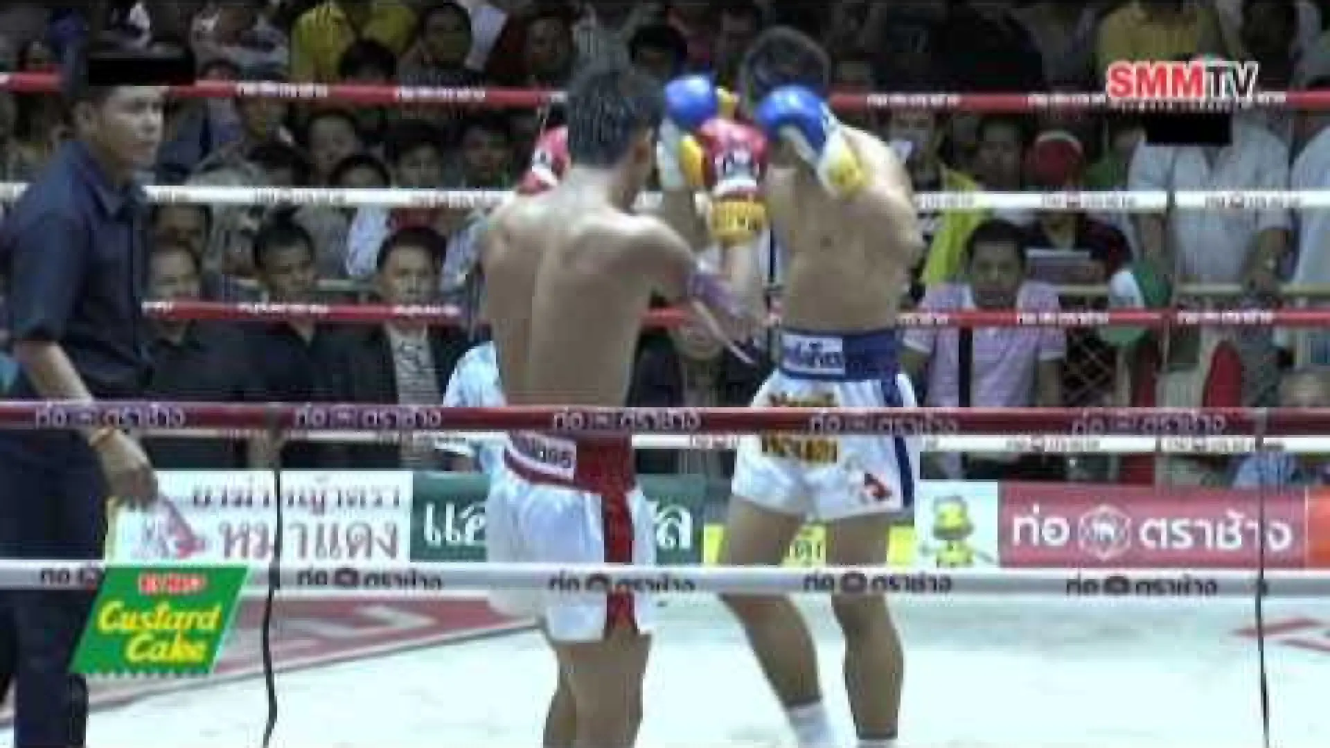 Yodpayak Sitsongpeenong vs Peemai Jitmuangnon (Fight Video)