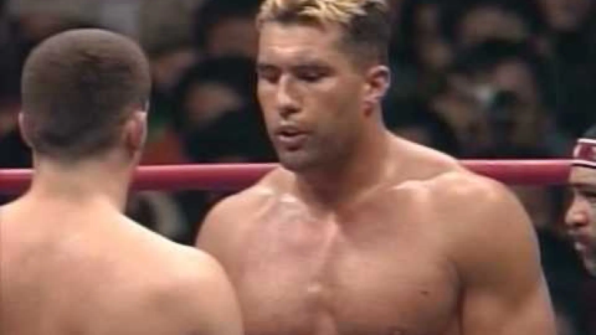 Peter Aerts vs Jérôme Le Banner (Fight Video)