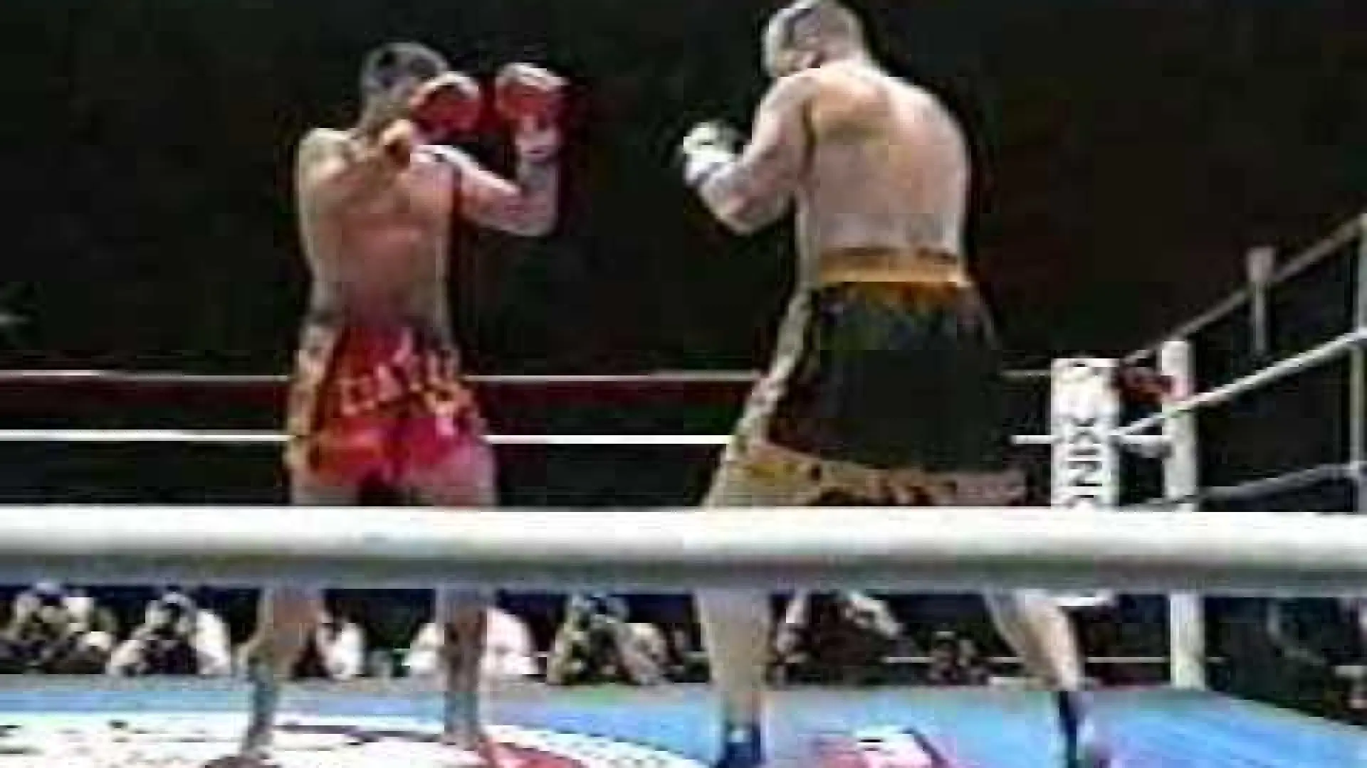 Peter Aerts vs Mike Bernardo (Fight Video)