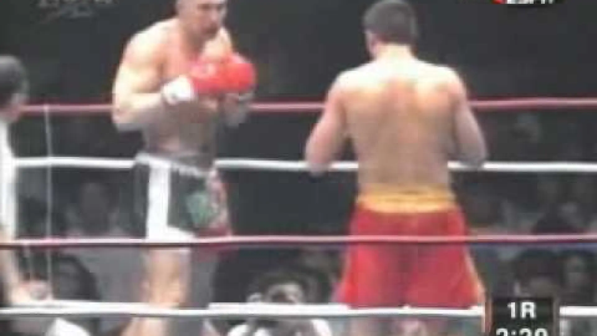 Peter Aerts vs Jérôme Le Banner (Fight Video)