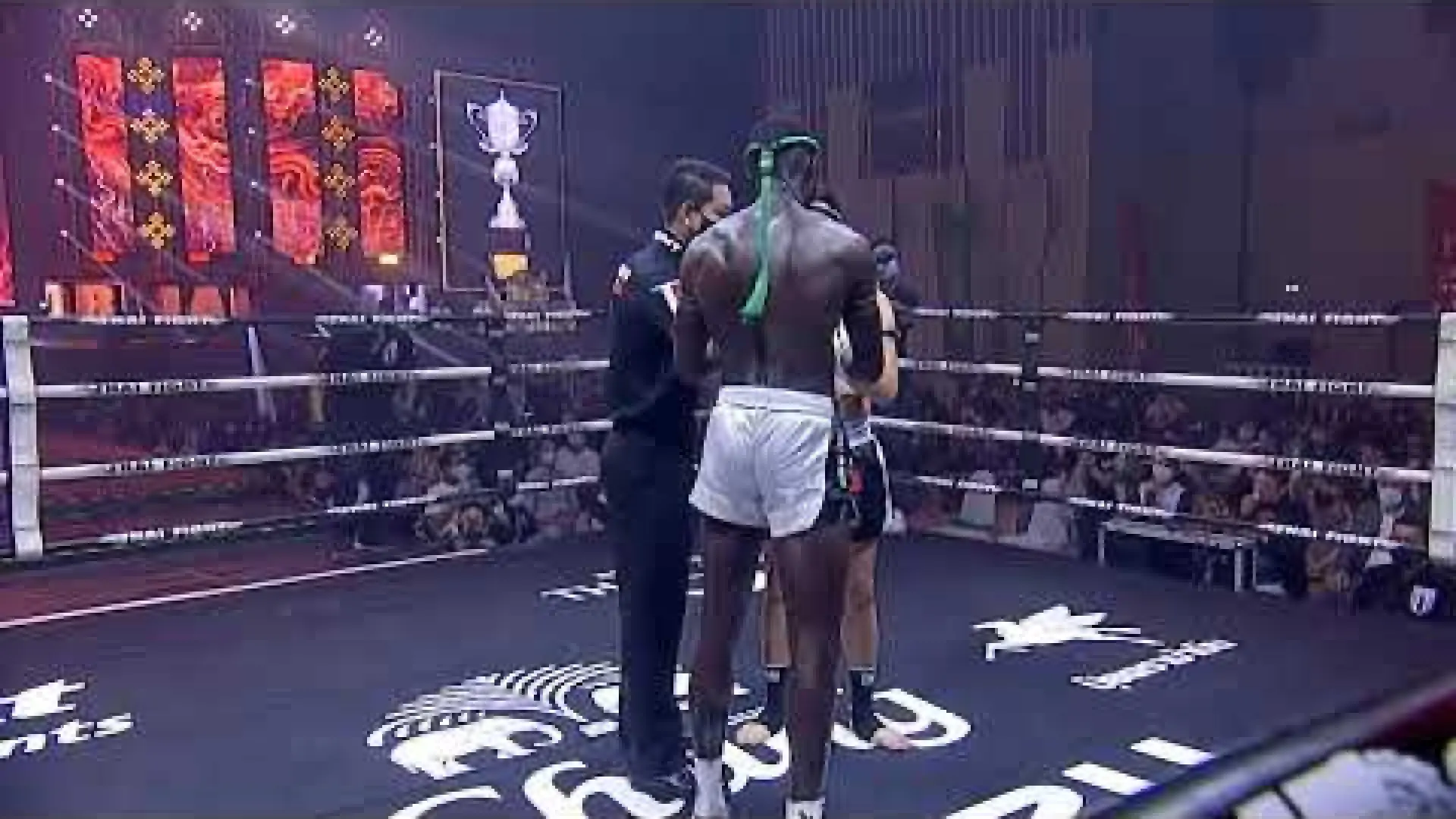 Tengnueng Sitjaesairoong vs Nicolas Mendes (Fight Video)