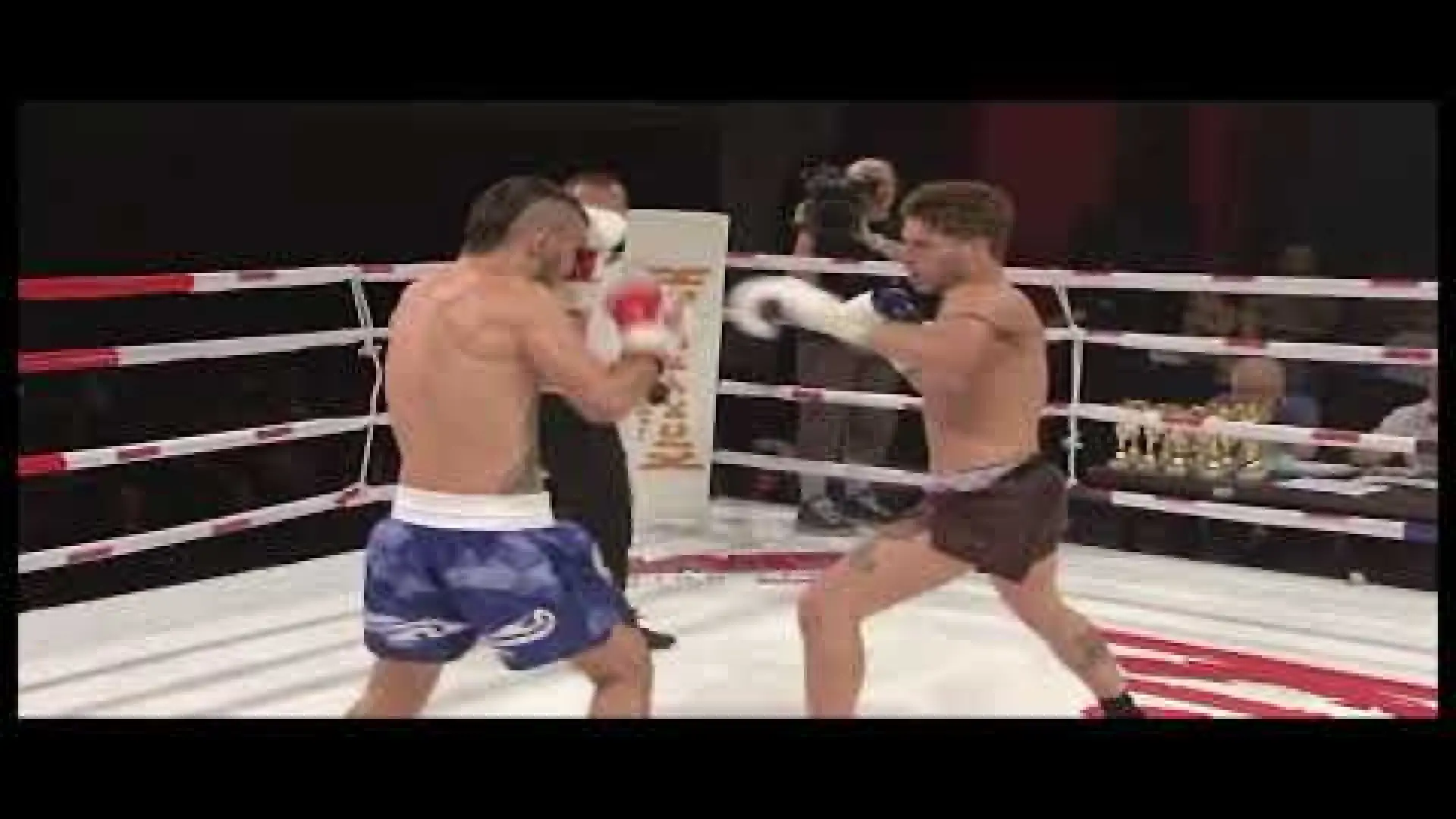 Luca Roma vs Rustam Vyntu (Fight Video)