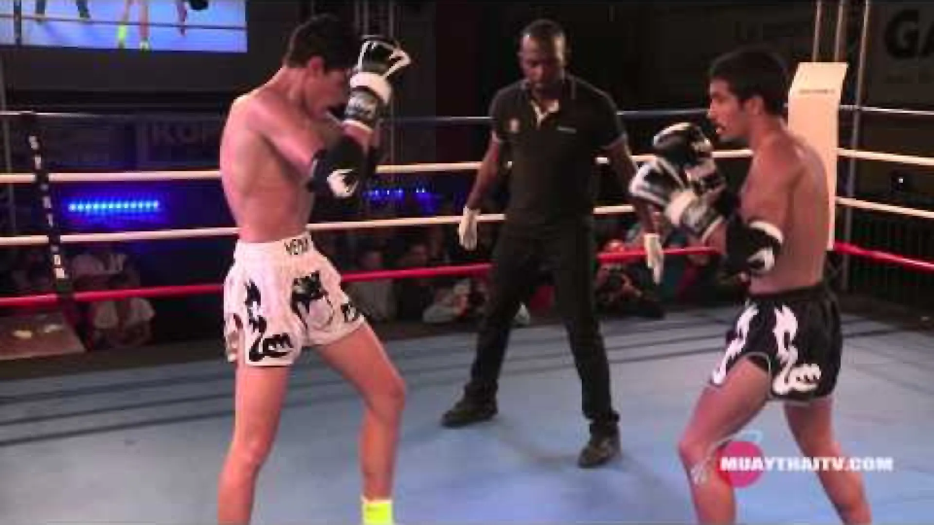 Elias Mahmoudi vs Rui Botelho (Fight Video)