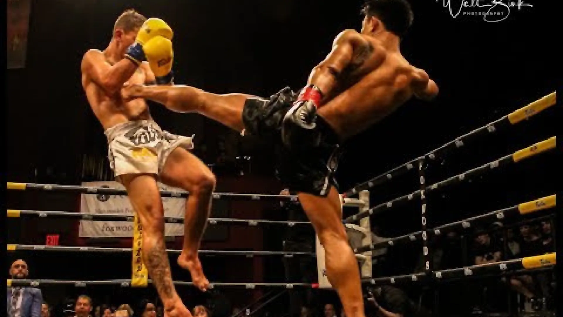 Lerdsila Chumpairtour vs Alexi Serepisos (Fight Video)