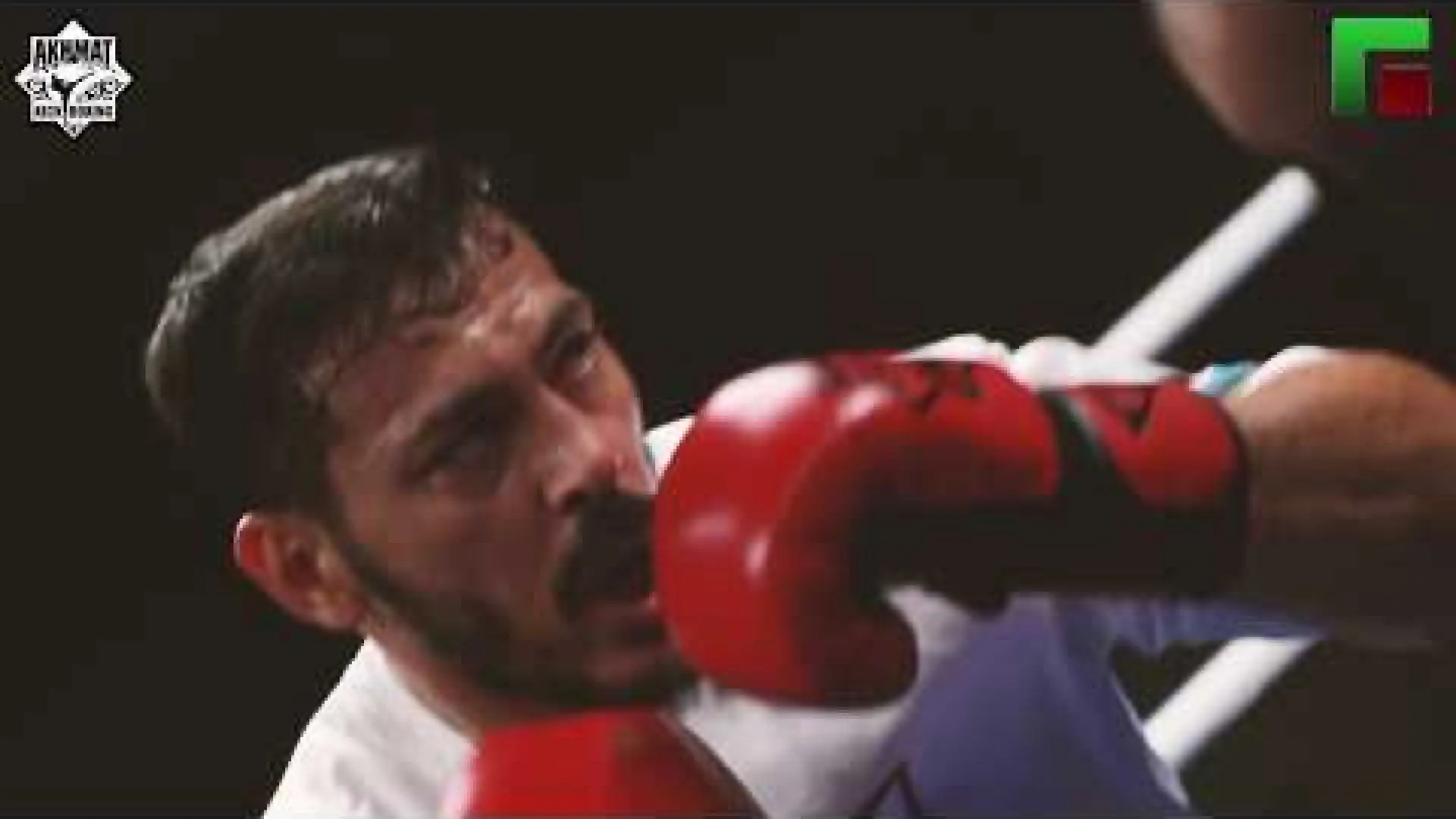Errol Zimmerman vs Zabit Samedov (Fight Video)