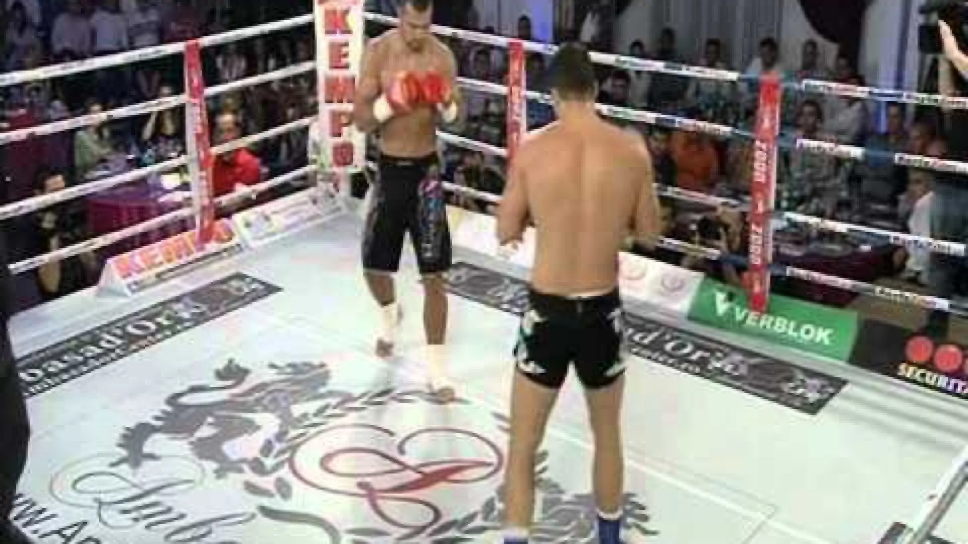 Andrei Stoica vs Jovan Kaluderovic (Fight Video)