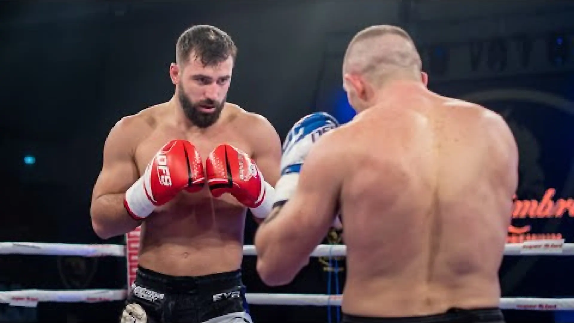 Andrei Stoica vs Pavel Voronin (Fight Video)
