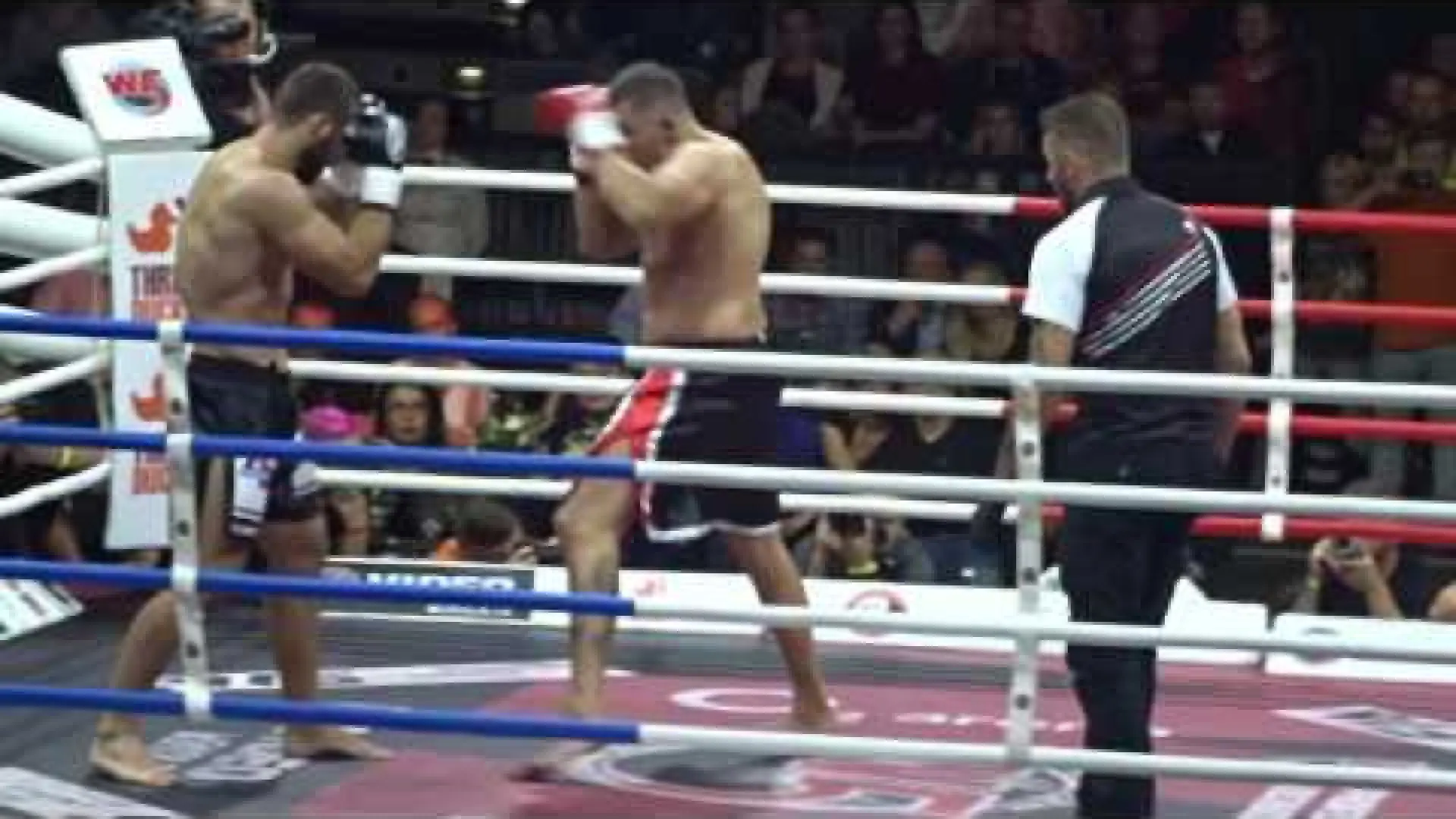 Andrei Stoica vs Tomáš Hron (Fight Video)