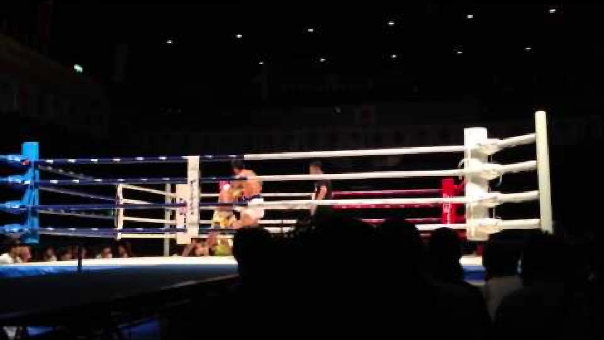 Kaew Fairtex vs Genji Umeno (Fight Video)