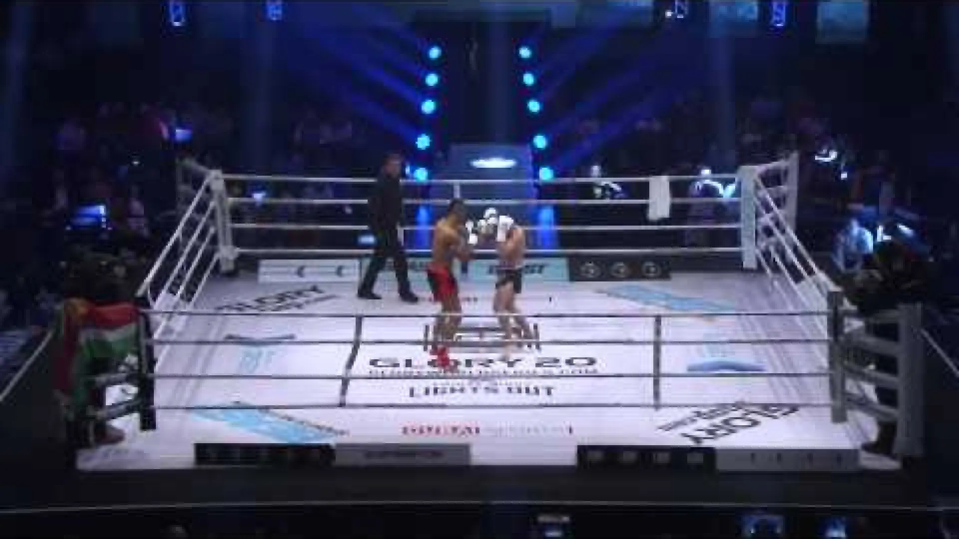 Robin Van Roosmalen vs Andy Ristie (Fight Video)