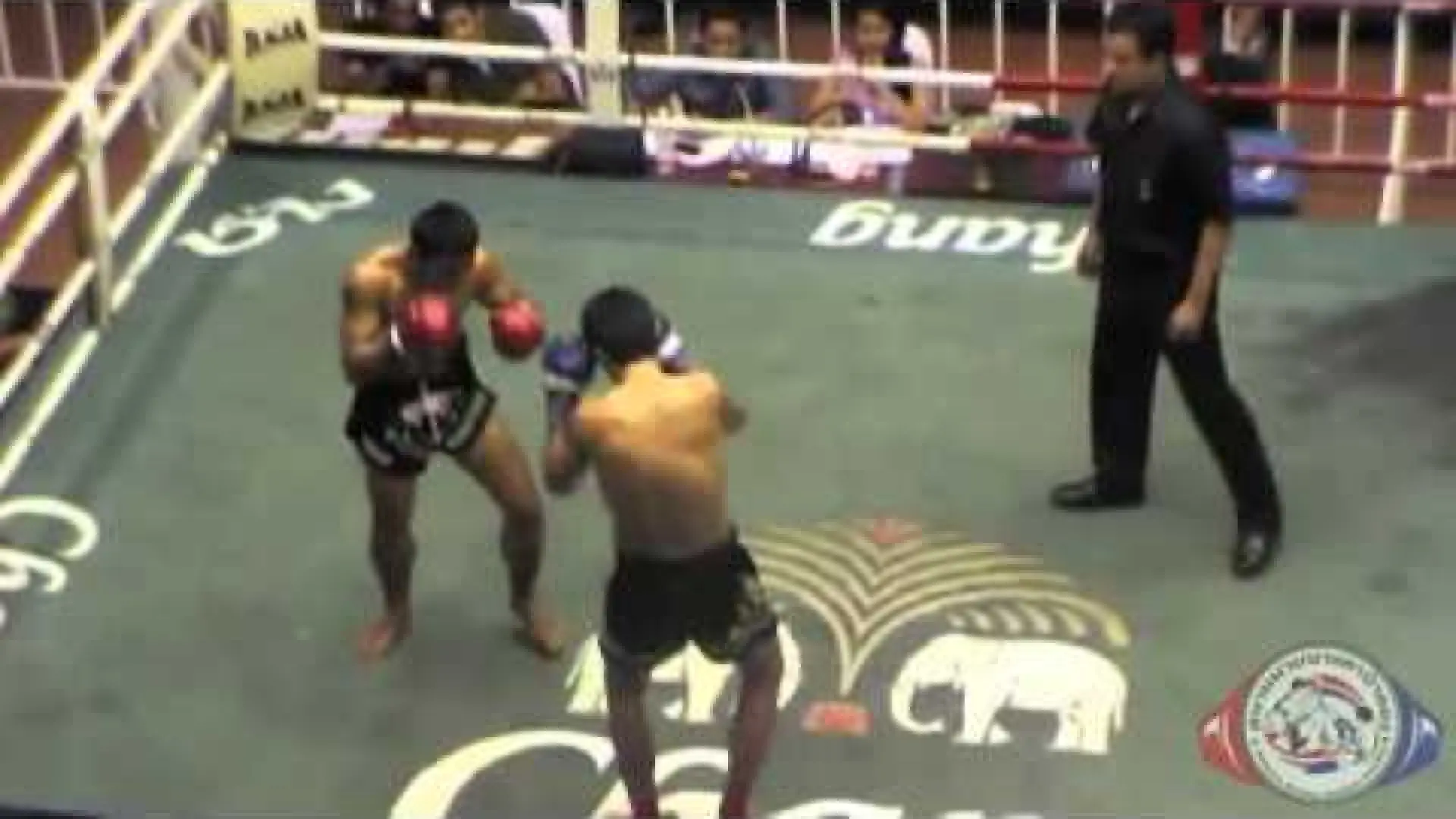 Anvar Boynazarov vs Rit Tiger Muaythai (Fight Video)