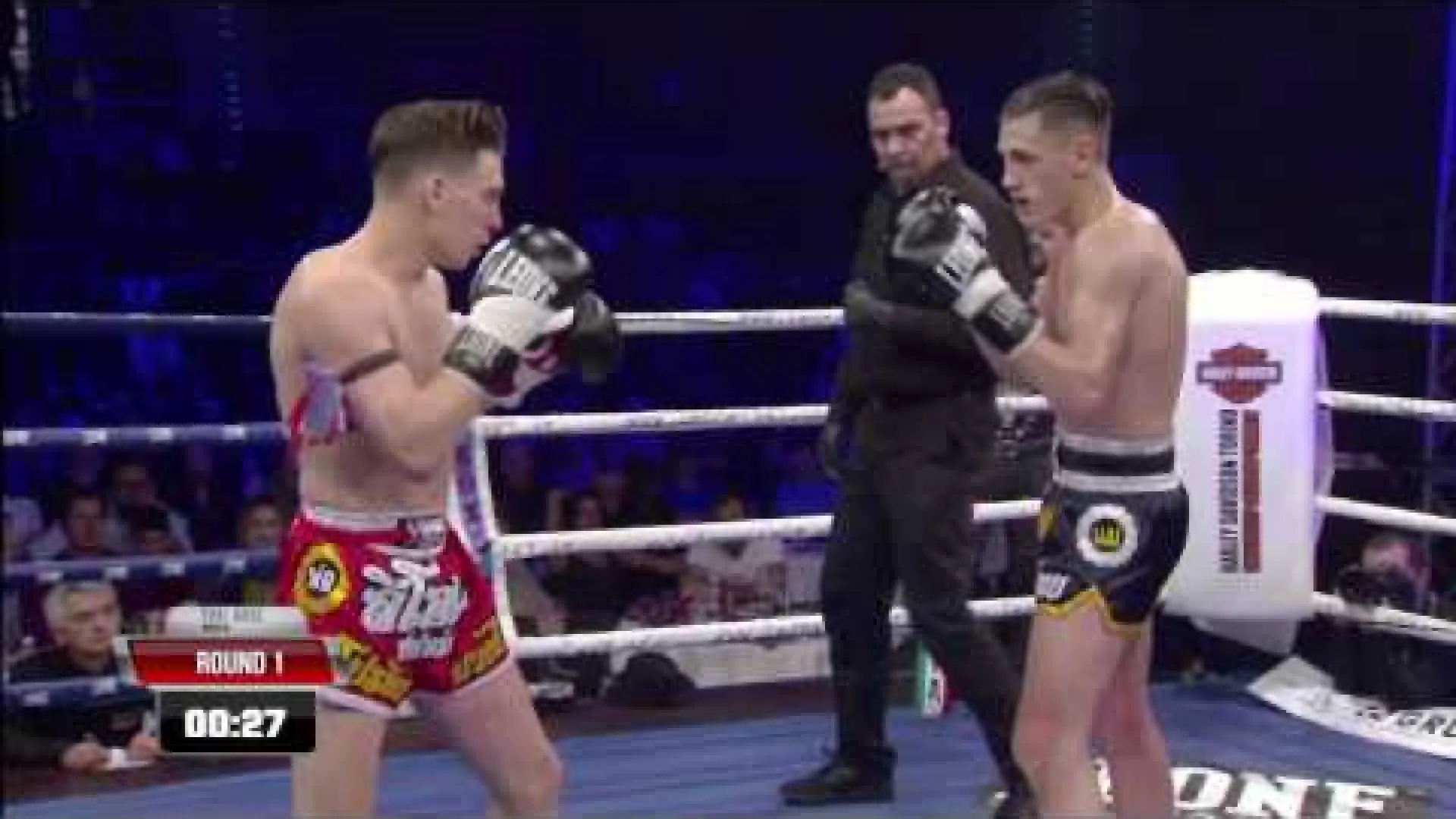Mathias Gallo Cassarino vs Brice Delval (Fight Video)
