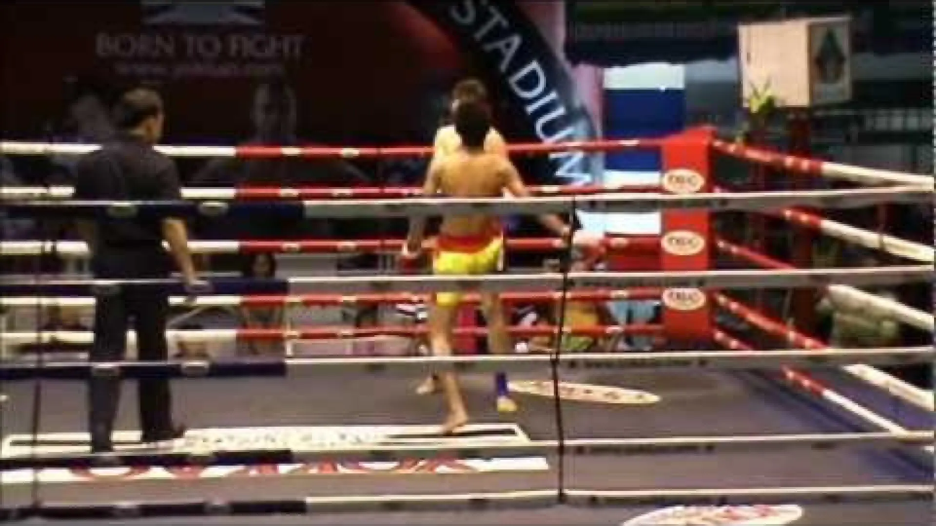 Mathias Gallo Cassarino vs Sangchan Na Pattaya (Fight Video)