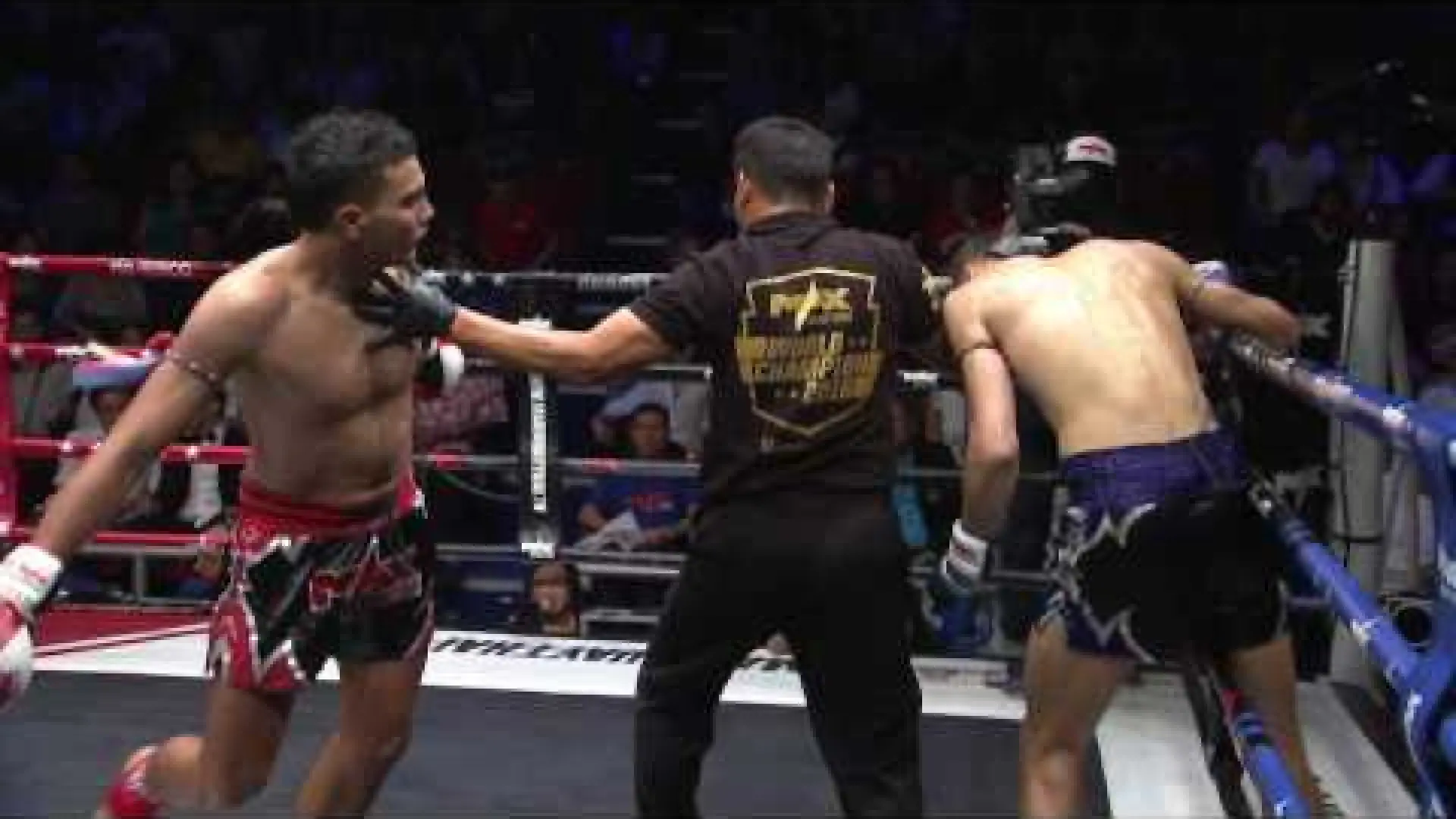 Thomas Carpenter vs Adrien Rubis (Fight Video)