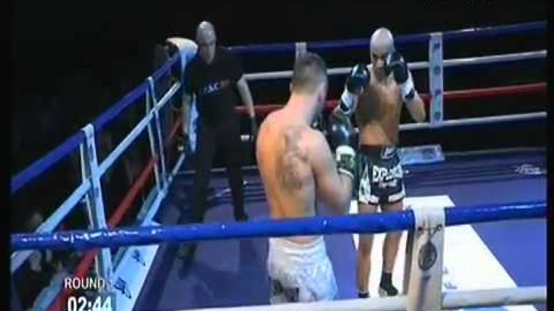 Karim Ghajji vs Darko Delic (Fight Video)