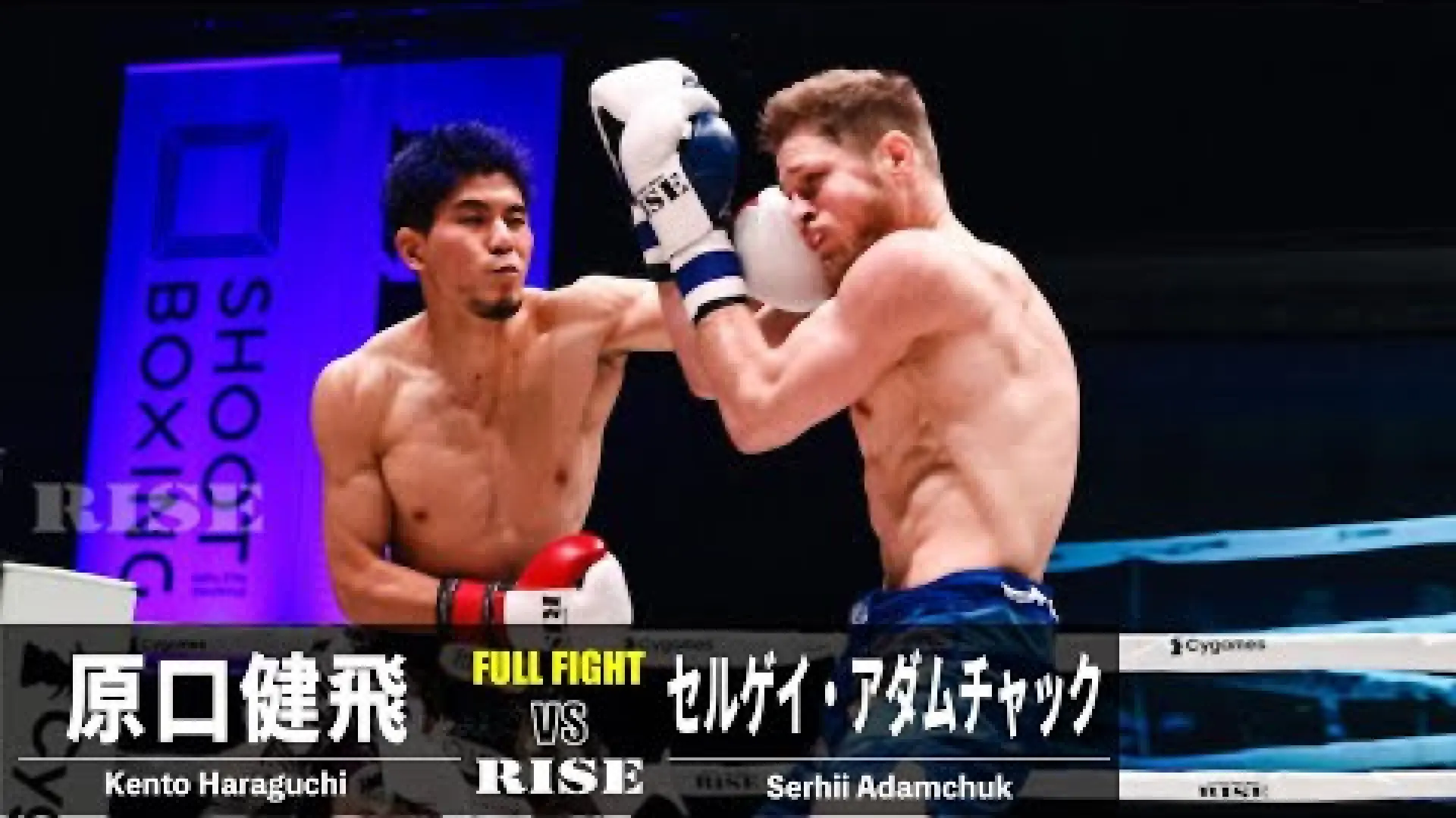 Serhii Adamchuk vs Kento Haraguchi (Fight Video)