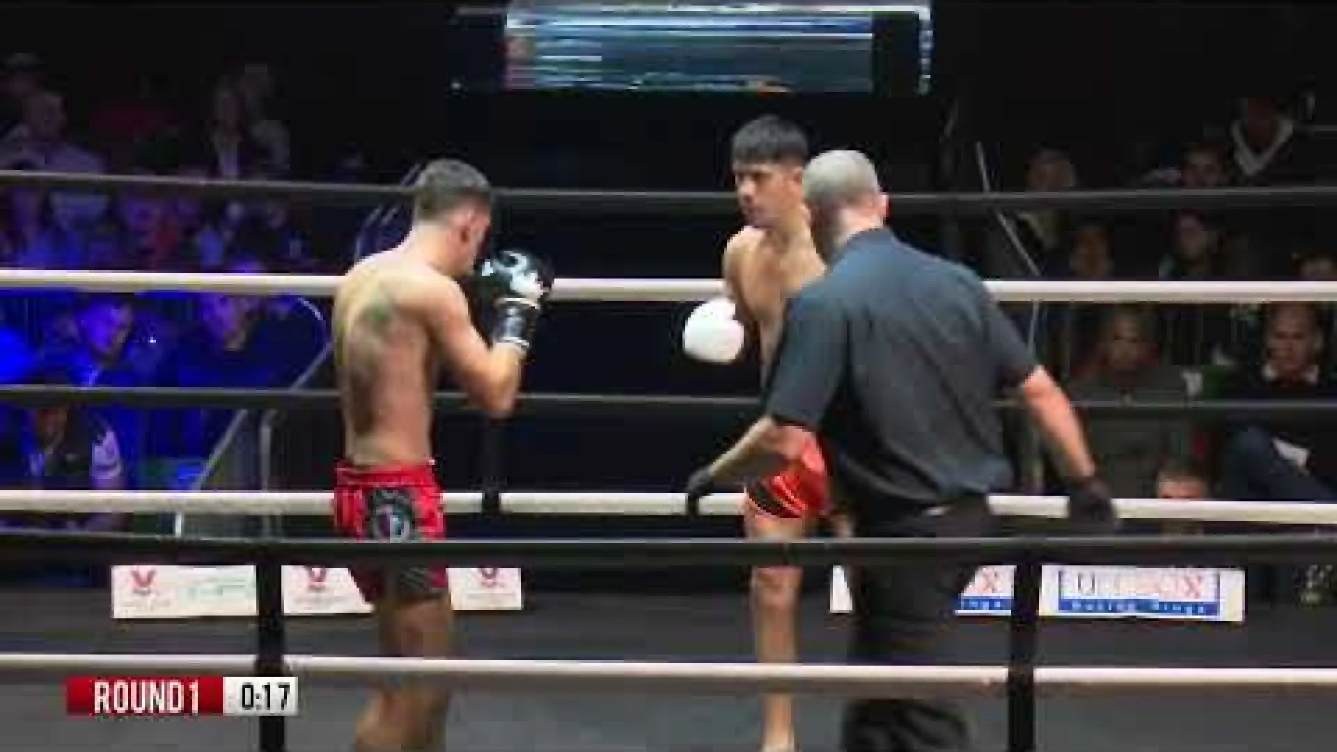 David Mejia vs Dennis Haddad (Fight Video)