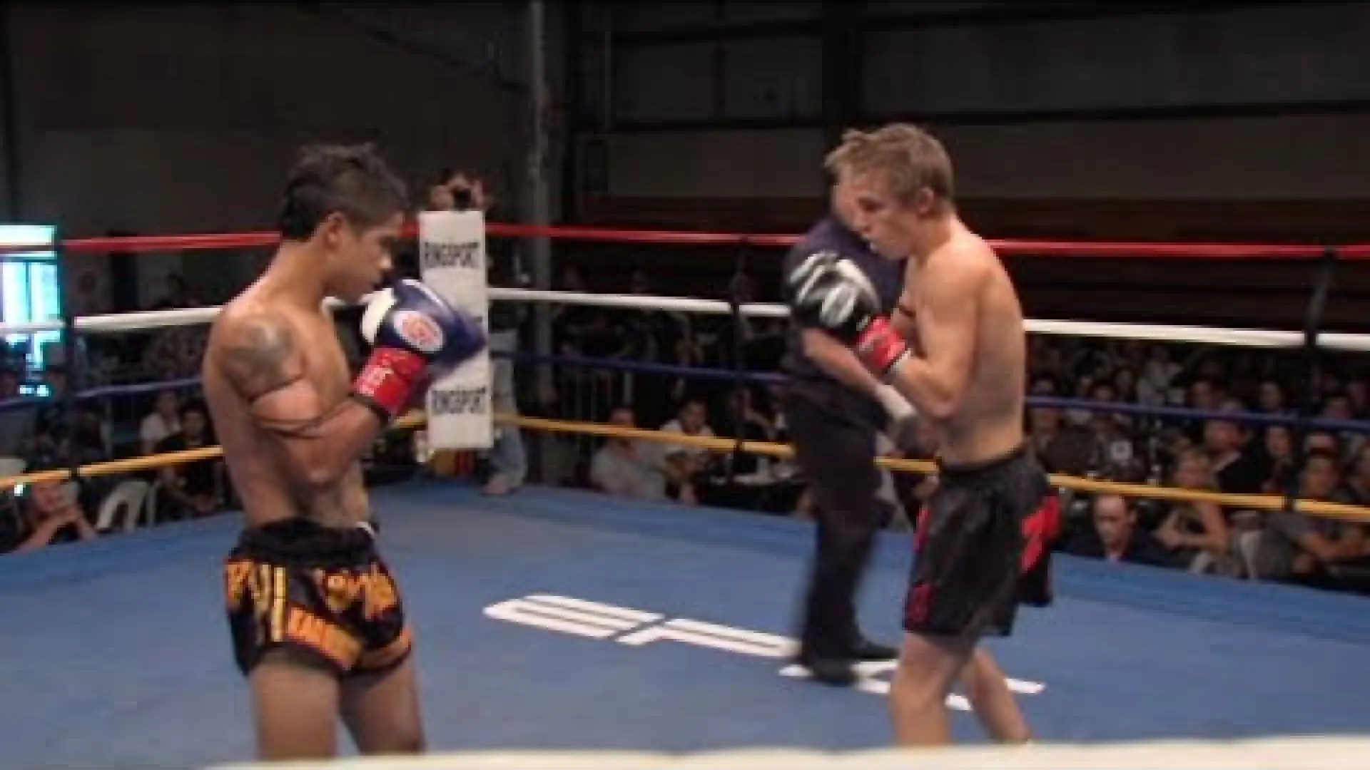 Danial Williams vs Zac Einersen (Fight Video)