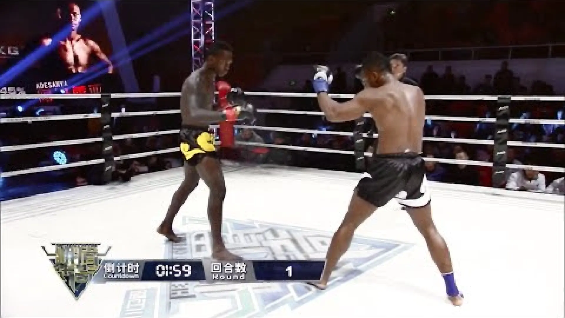 Israel Adesanya vs Carl N'Diaye (Fight Video)