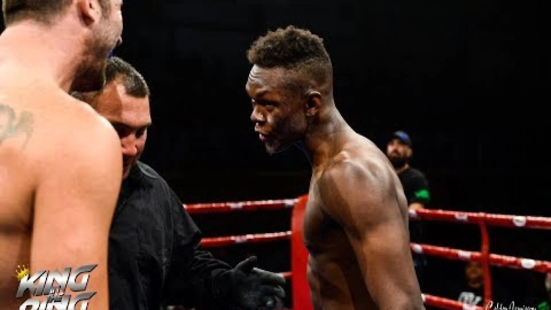 Israel Adesanya vs Dan Roberts (Fight Video)