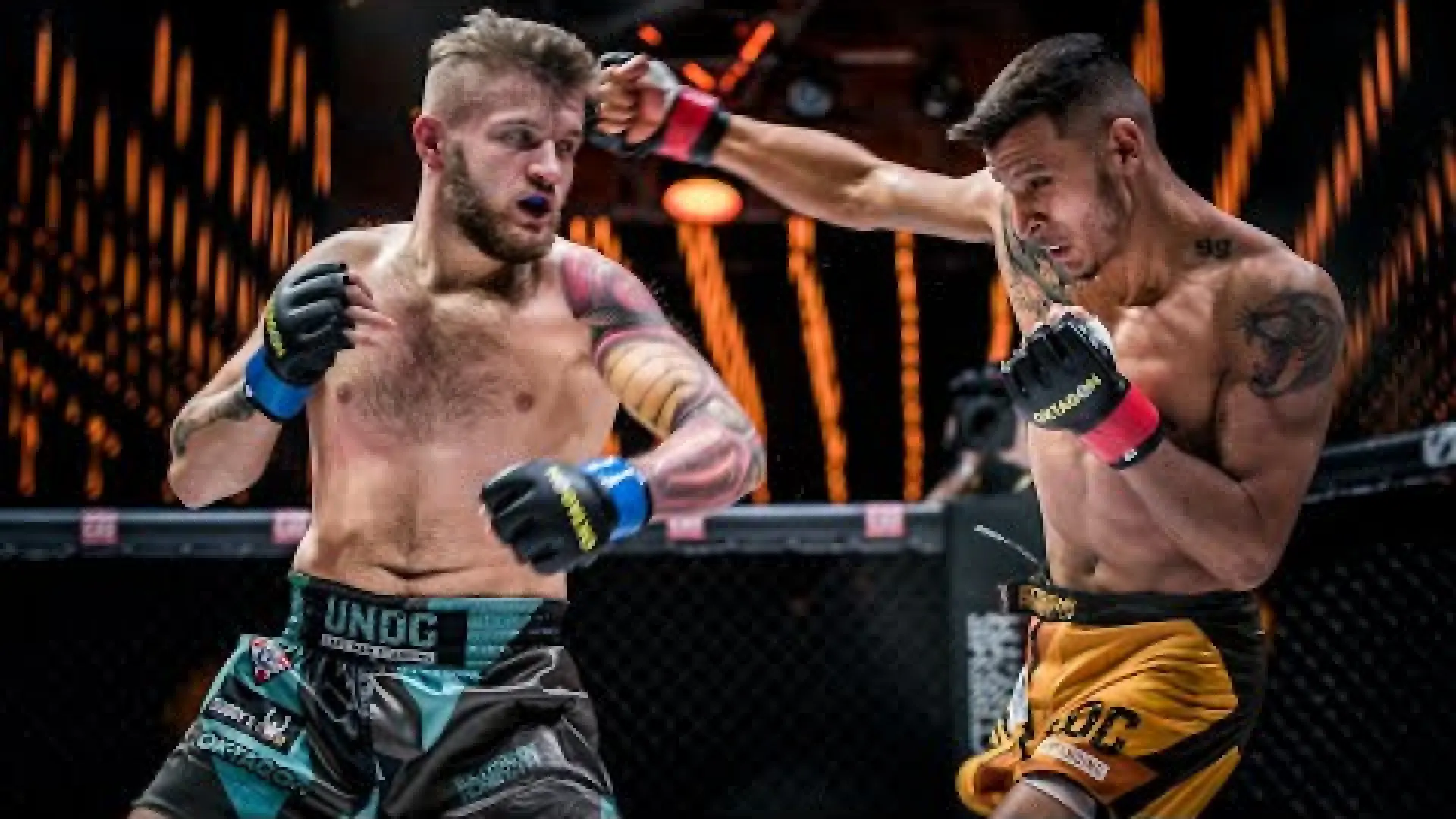 Bailey Sugden vs Václav Sivák (Fight Video)