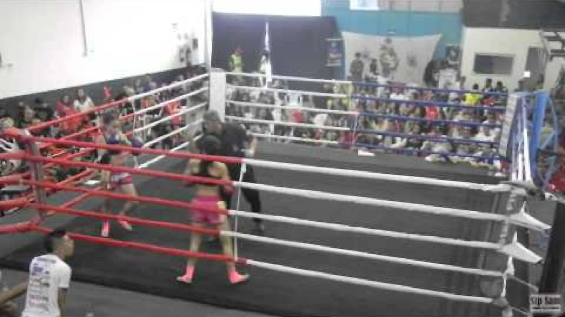 Allycia Hellen Rodrigues vs Laryssa Nayra (Fight Video)