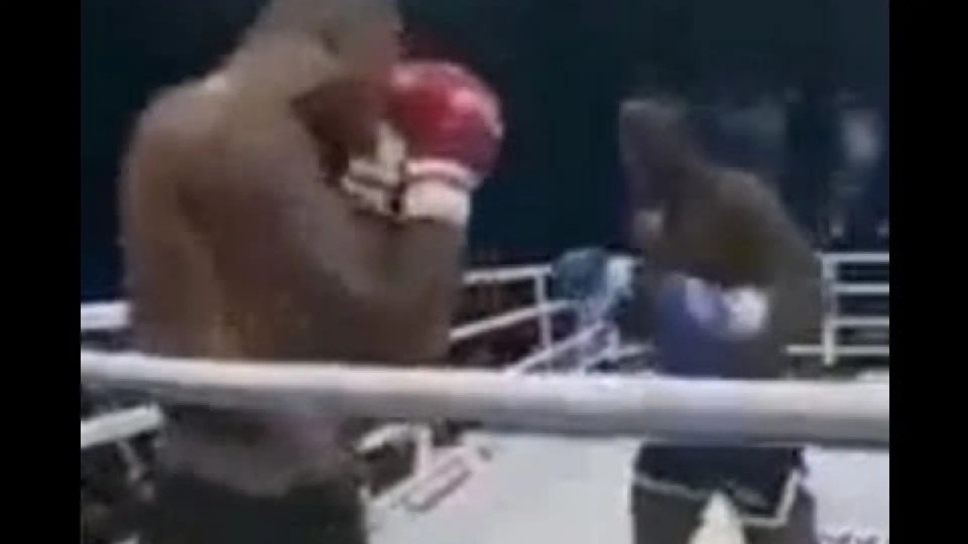 Hesdy Gerges vs Ismael Londt (Fight Video)