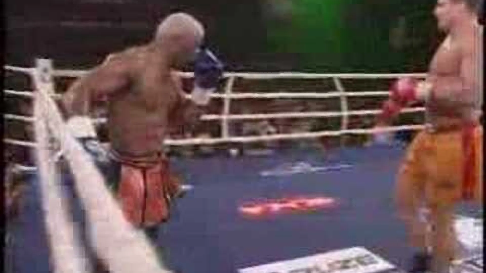 Michael McDonald vs Pavel Majer (Fight Video)