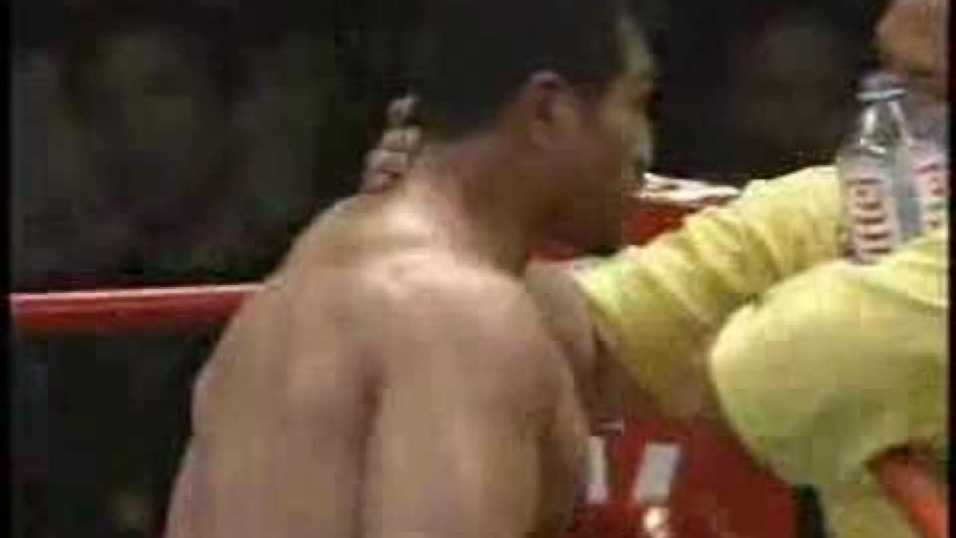 Michael McDonald vs Ray Sefo (Fight Video)