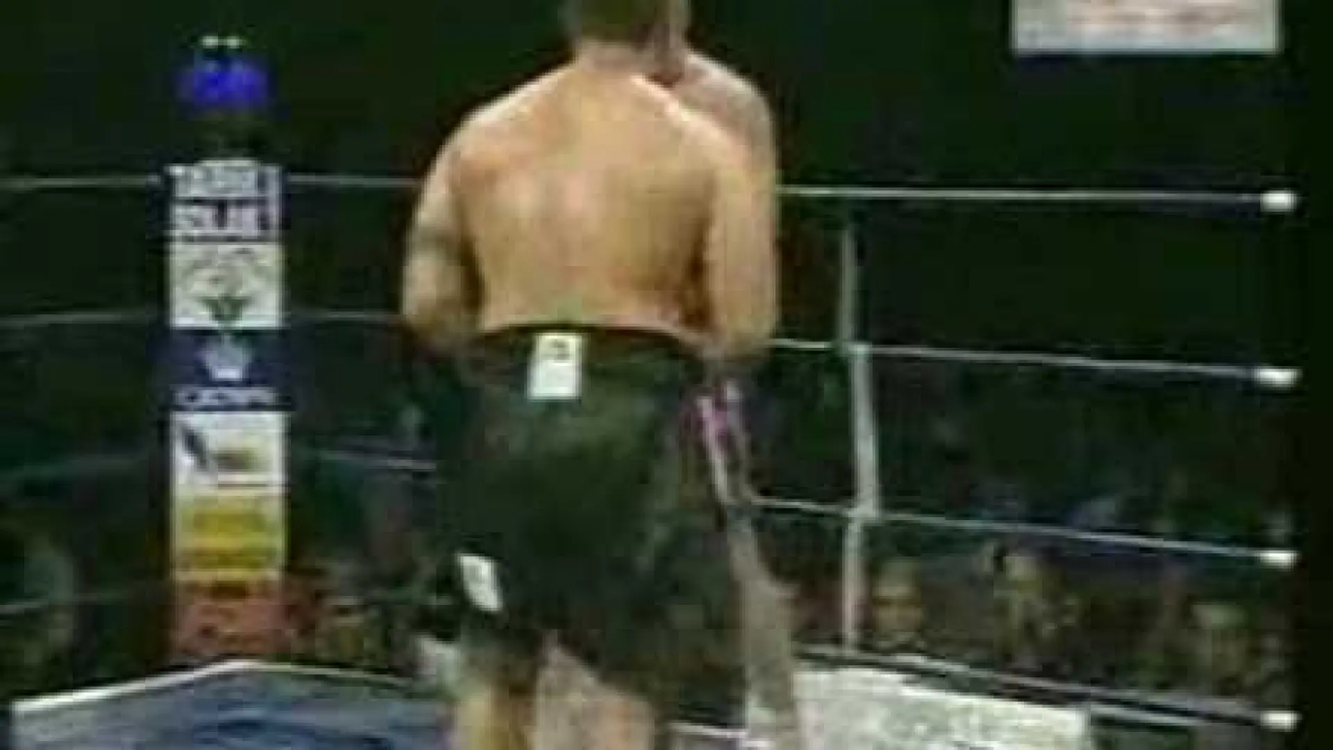 Peter Graham vs Mark Hunt (Fight Video)