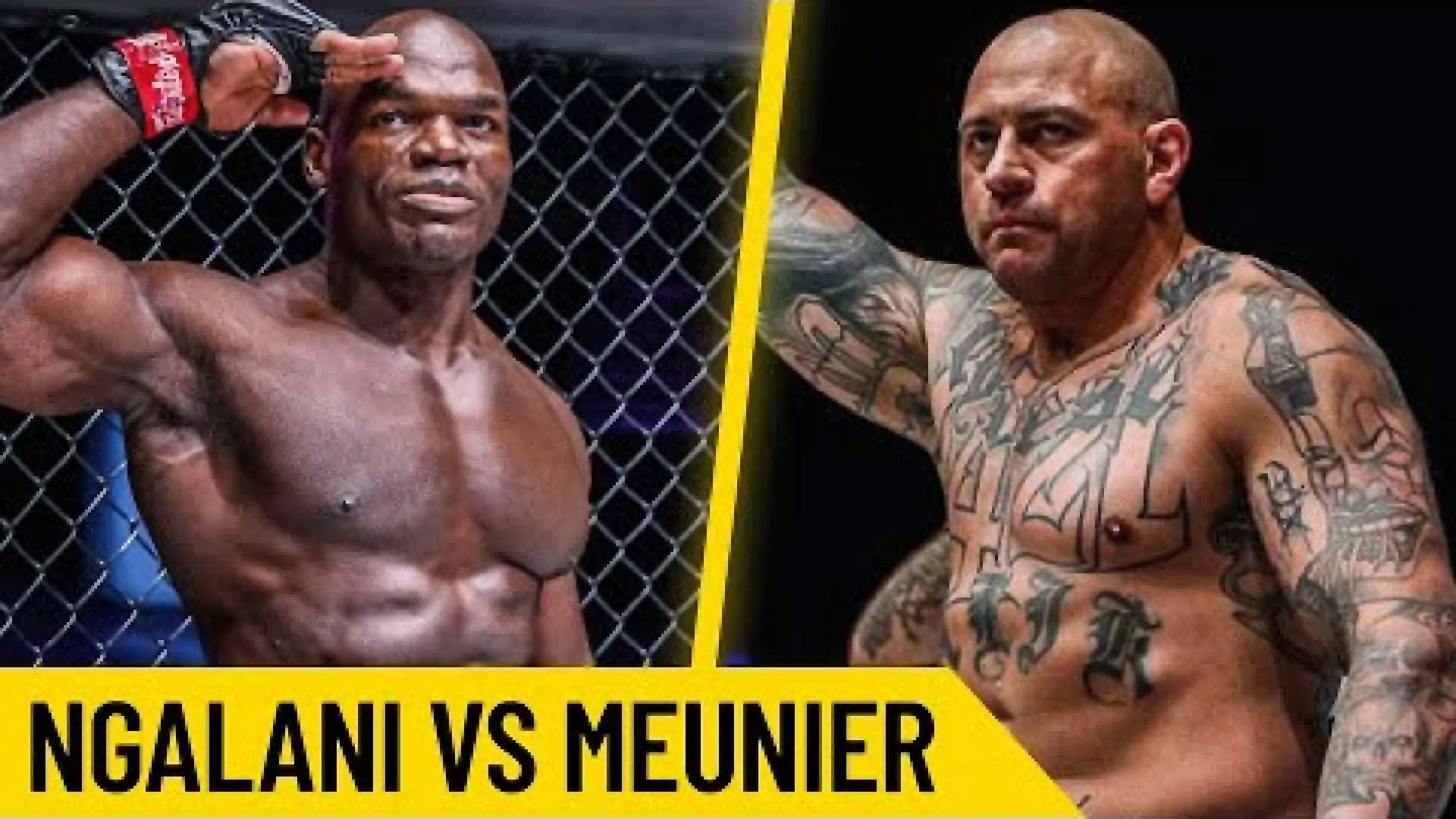 Alain Ngalani vs Andre Meunier (Fight Video)