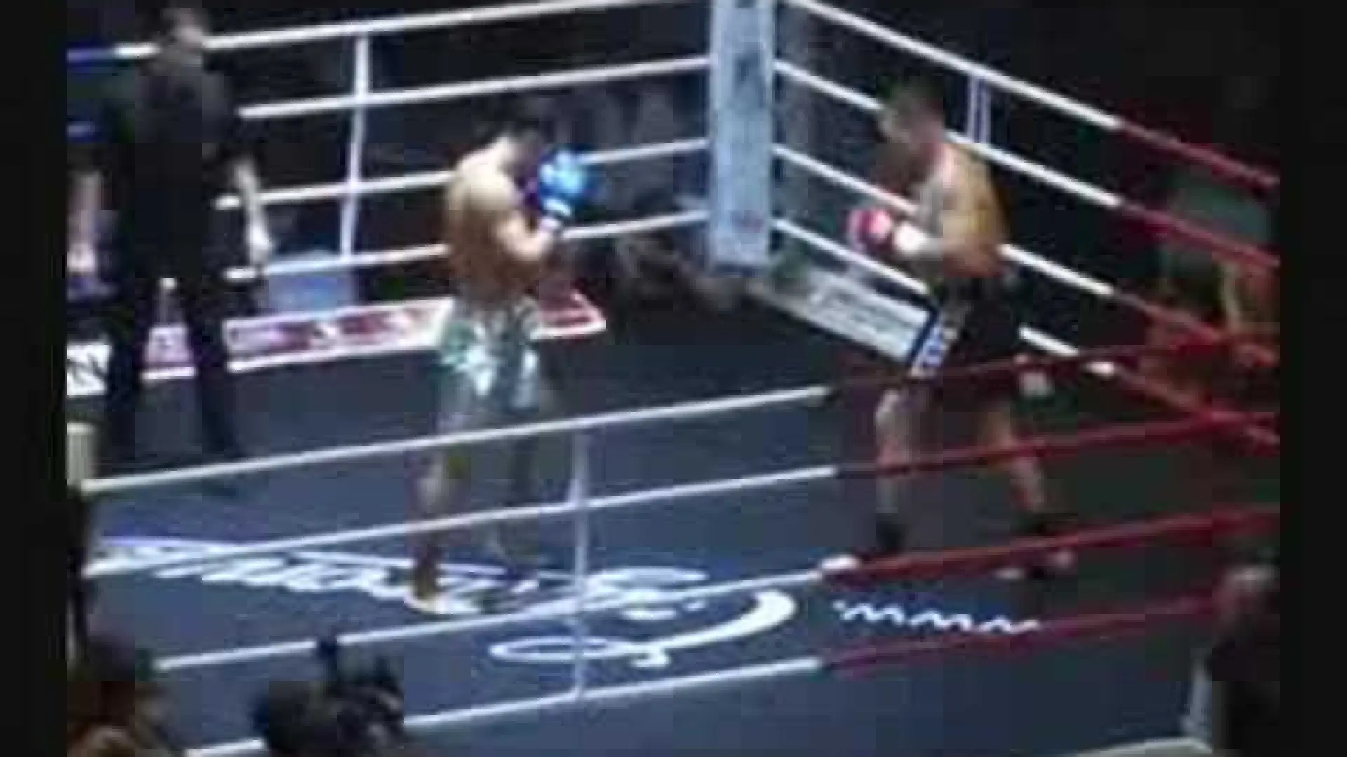 Zabit Samedov vs Lubos Suda (Fight Video)