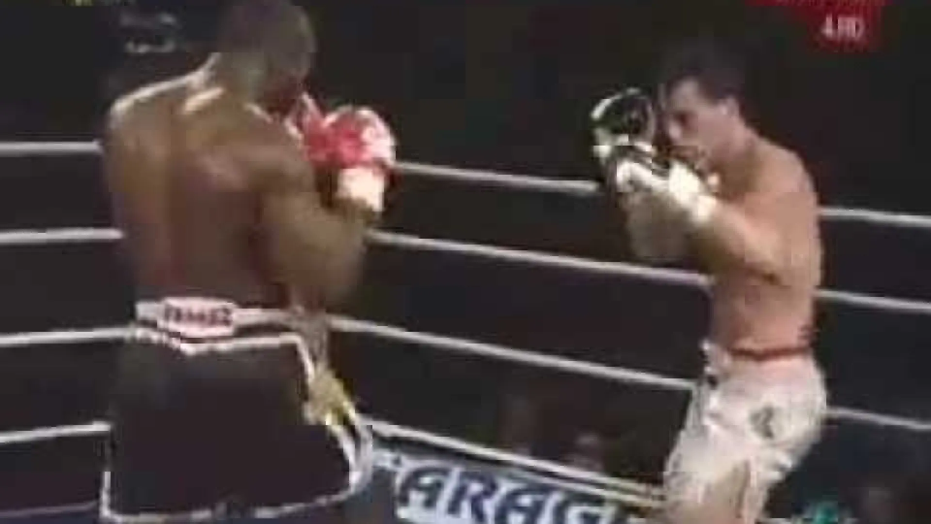 Zabit Samedov vs Daniel Lentie (Fight Video)