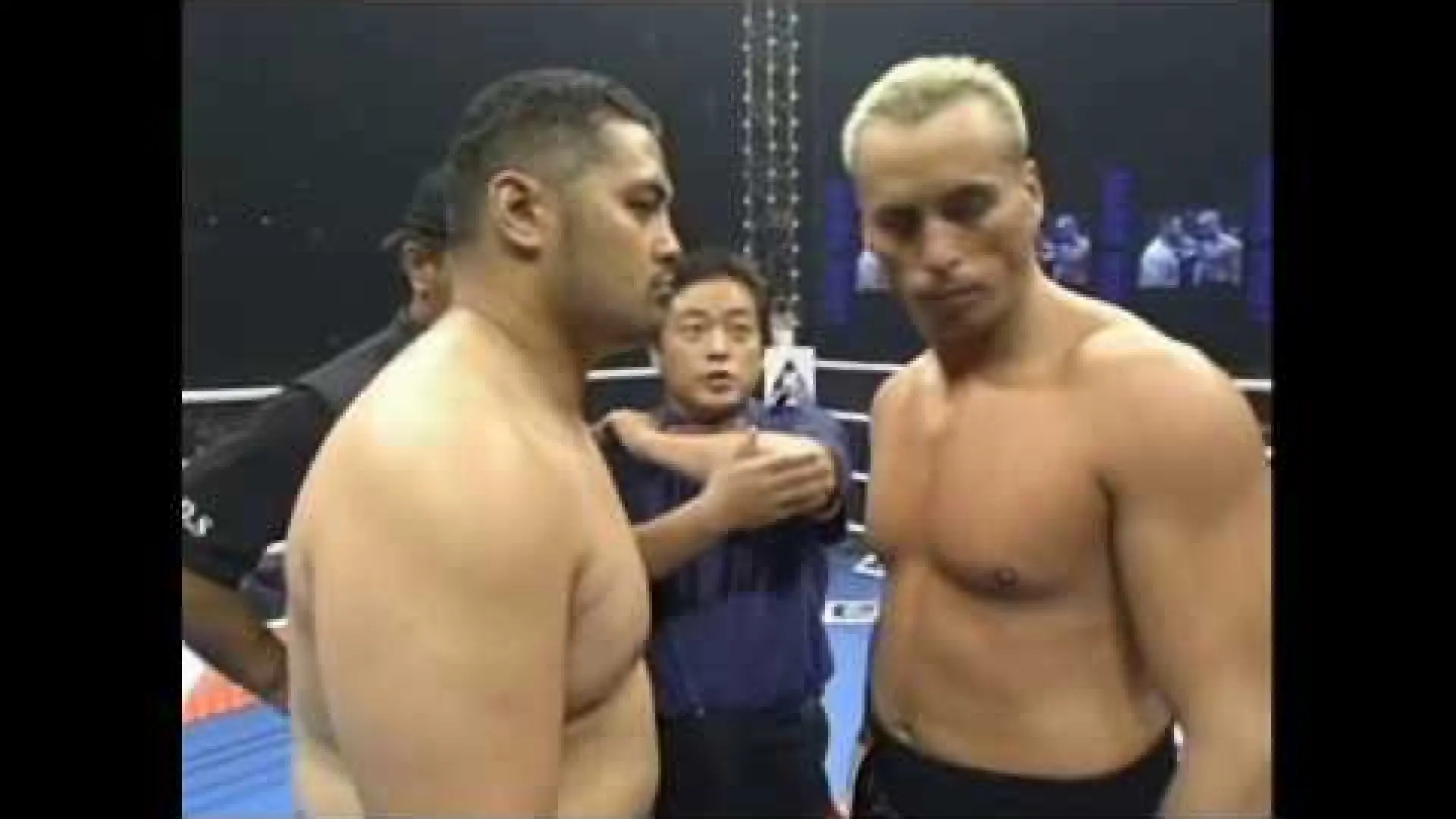 Stefan Leko vs Mark Hunt (Fight Video)