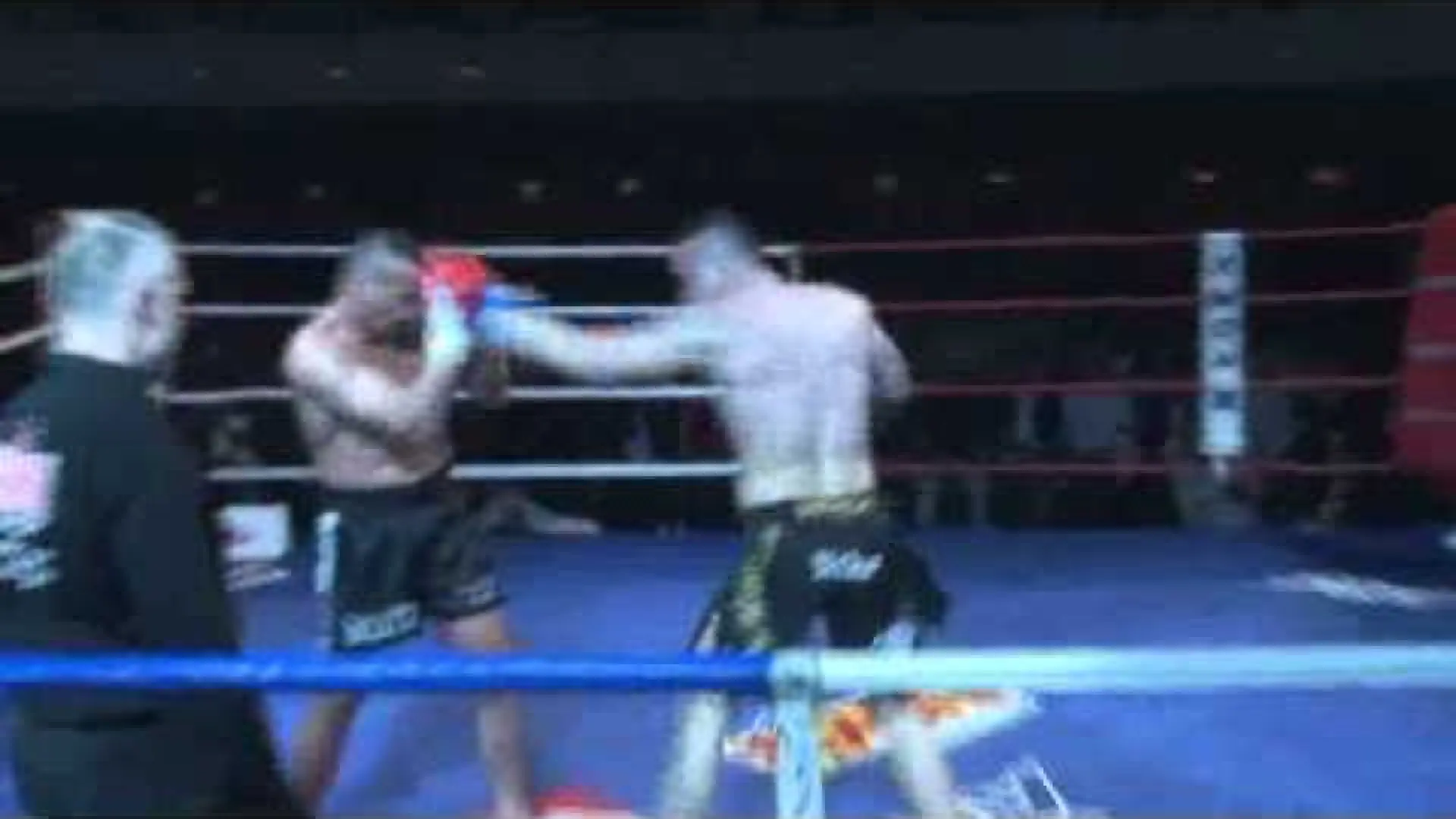 Stefan Leko vs Nikolaj Falin (Fight Video)