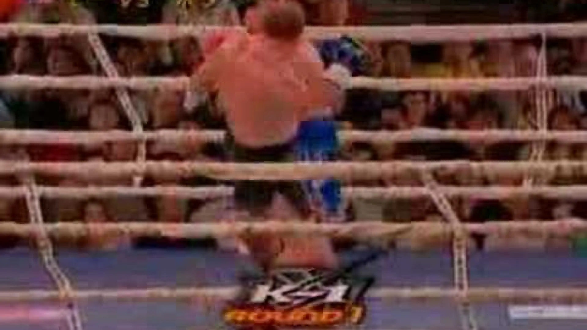 Mighty Mo vs Francois Botha (Fight Video)